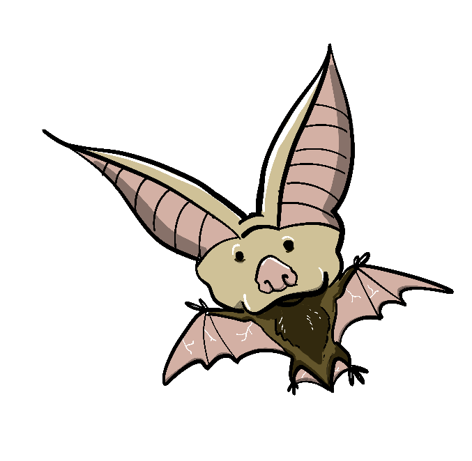 Woopsie Daisy the Bat