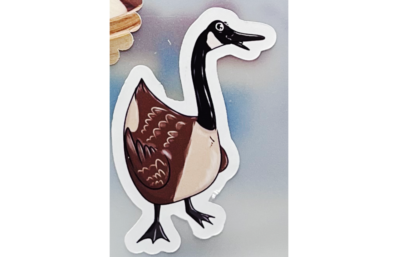 canada goose photo.png