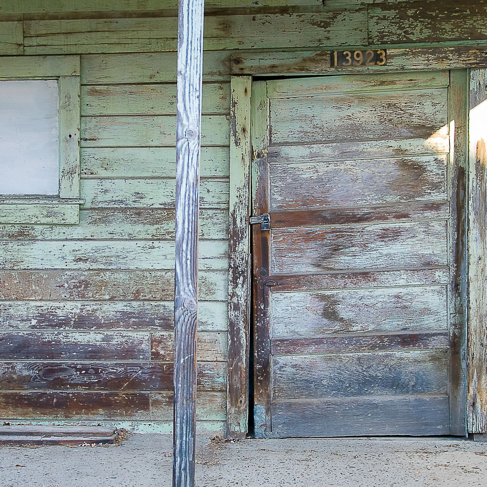 Salt-Cured Green / Download