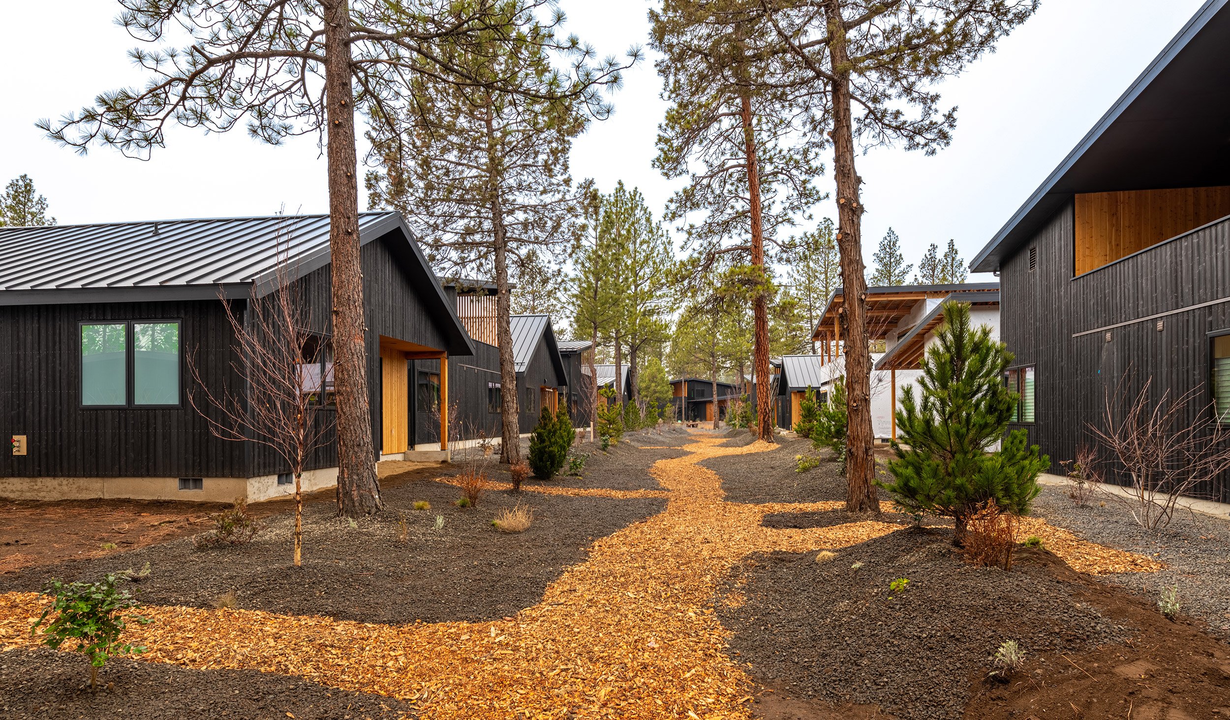 BUILD-LLC-SW-Cottages-Landscape-Phase-1-01#-AvL.jpg