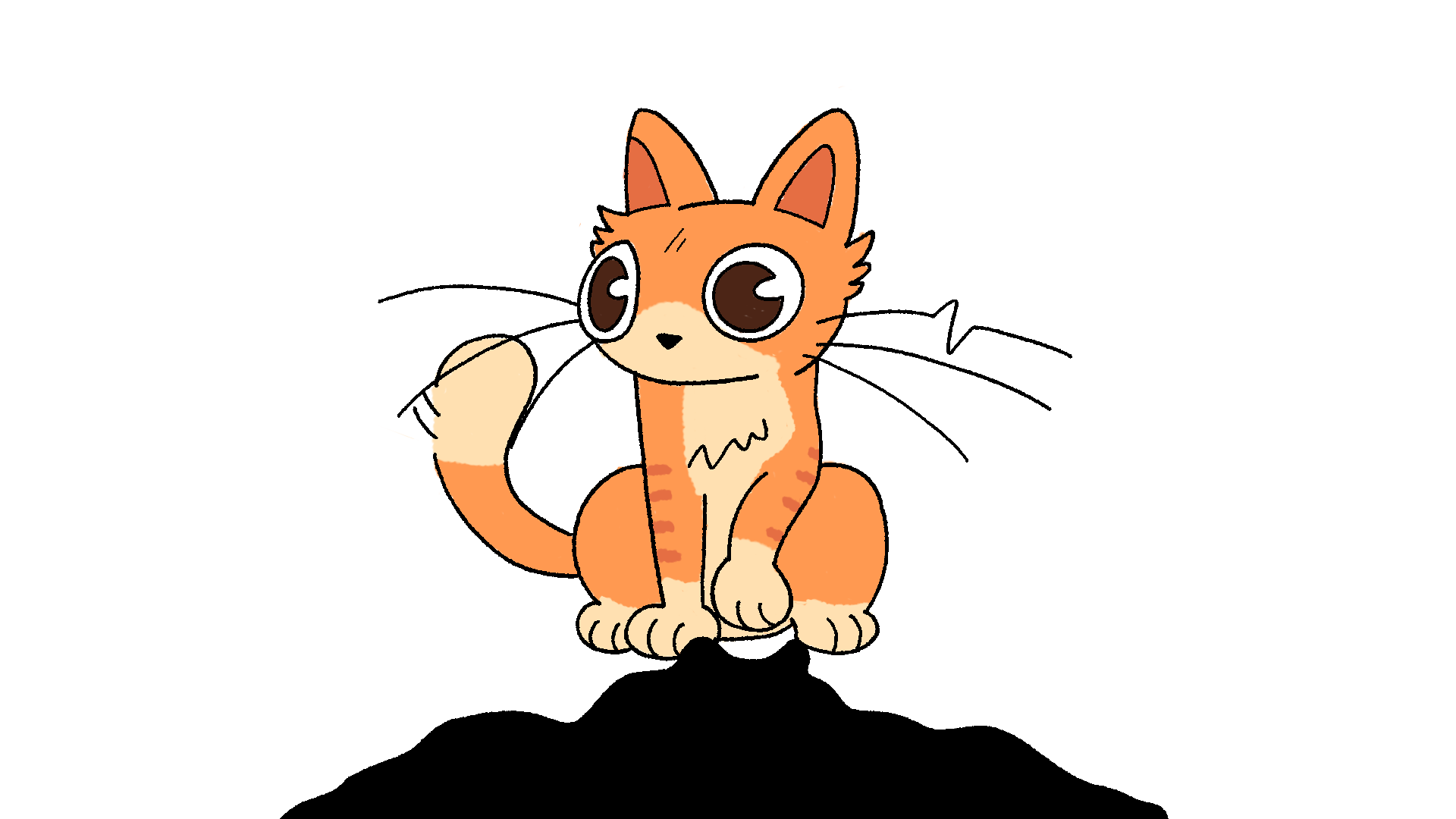 Animations