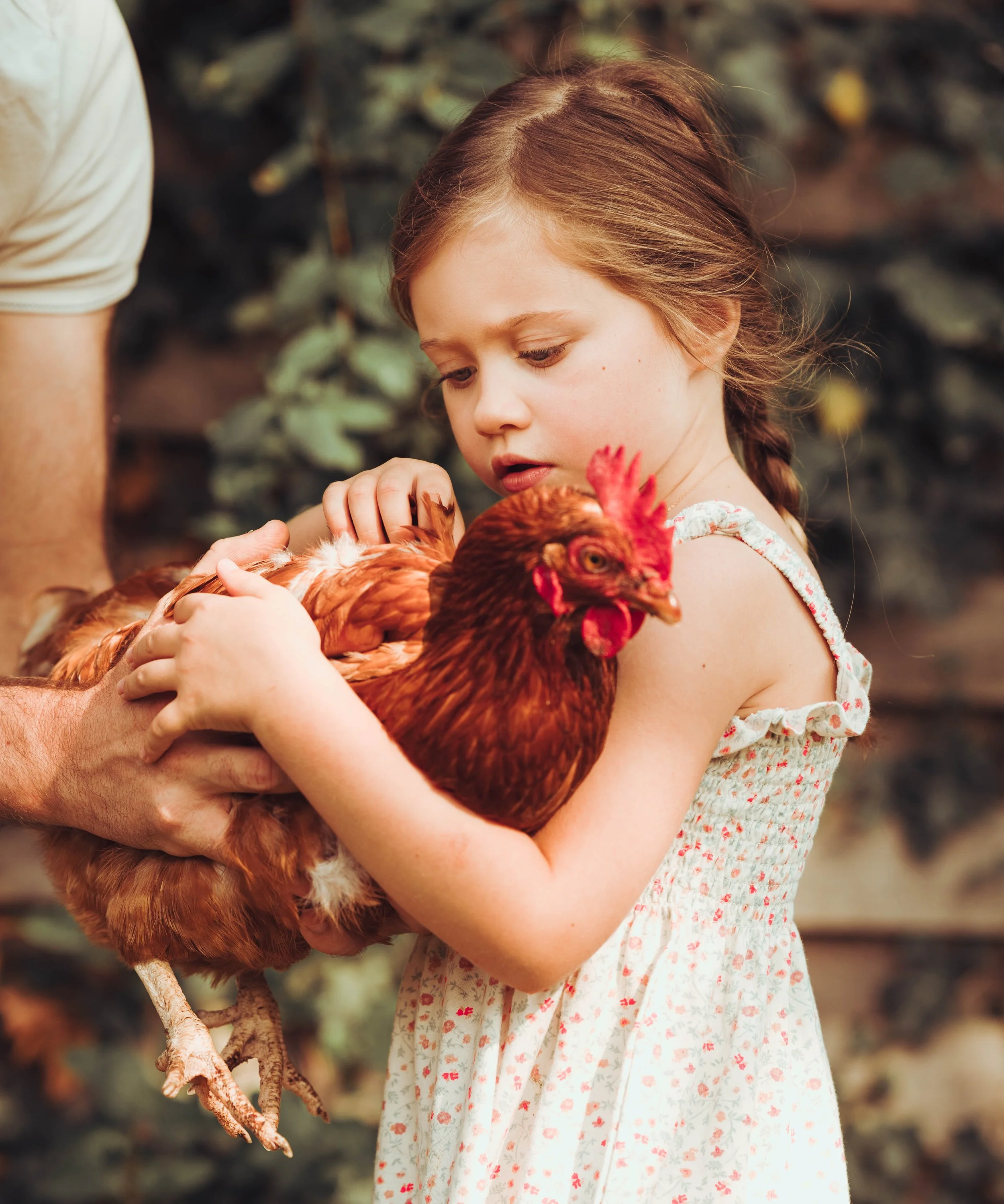Photos famille Toulouse