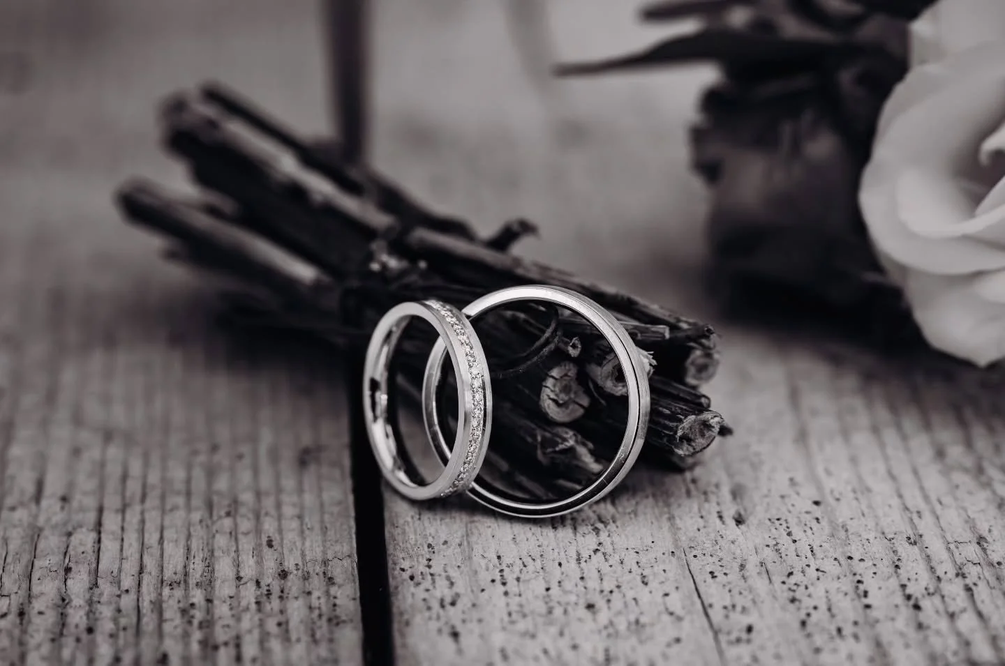 The wedding rings... such an iconic item you can find in 90% of the weddings. And you, do you want rings at your wedding or you prefer more unique items ?

#weddingrings #blackandwhite #weddingsouthfrance #weddingphotography #weddingphotographer #des