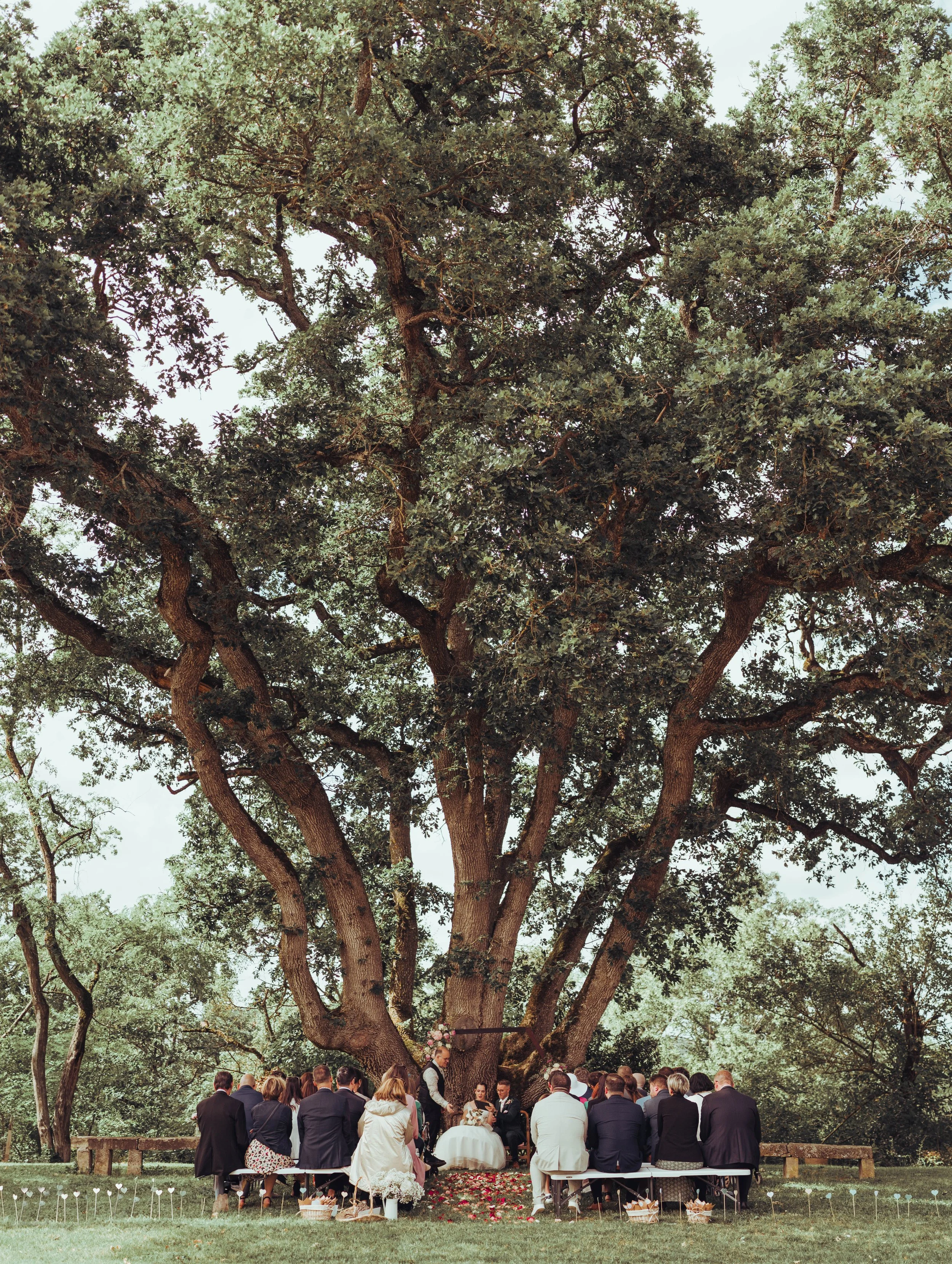 Cérémonie de mariage laïque sous les arbres majestueux de château de Puydaniel près de Toulouse, en Occitanie.