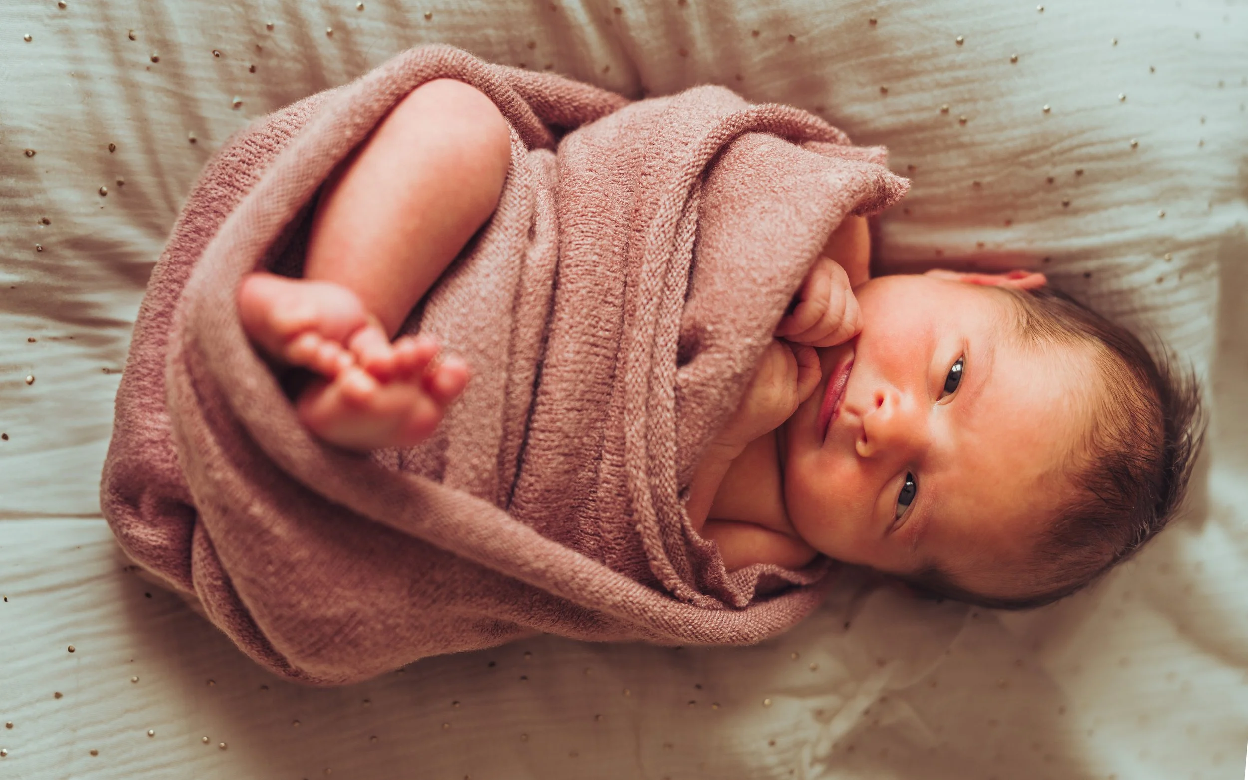 Photographe naissance Toulouse