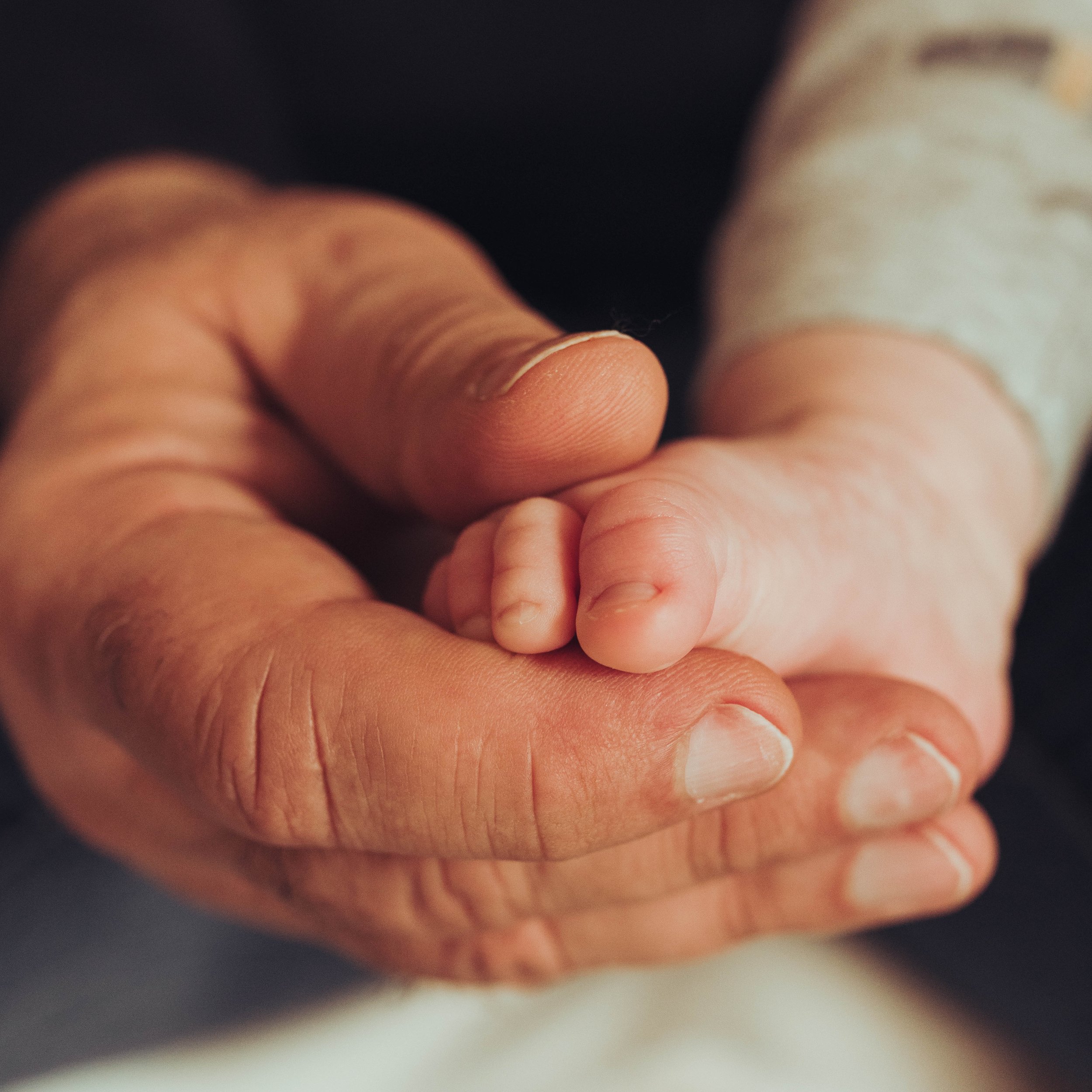 Photographe naissance Toulouse