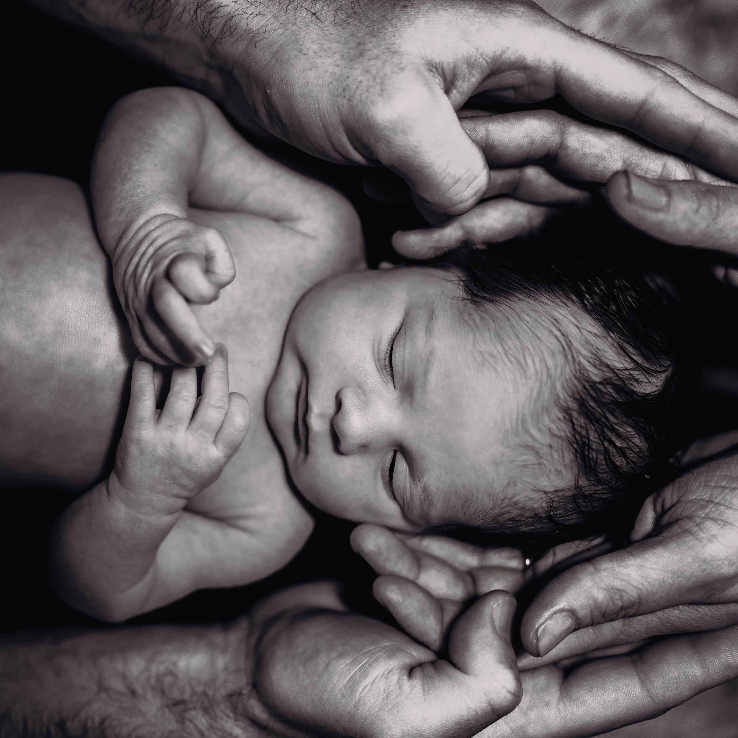 Photographe naissance Toulouse