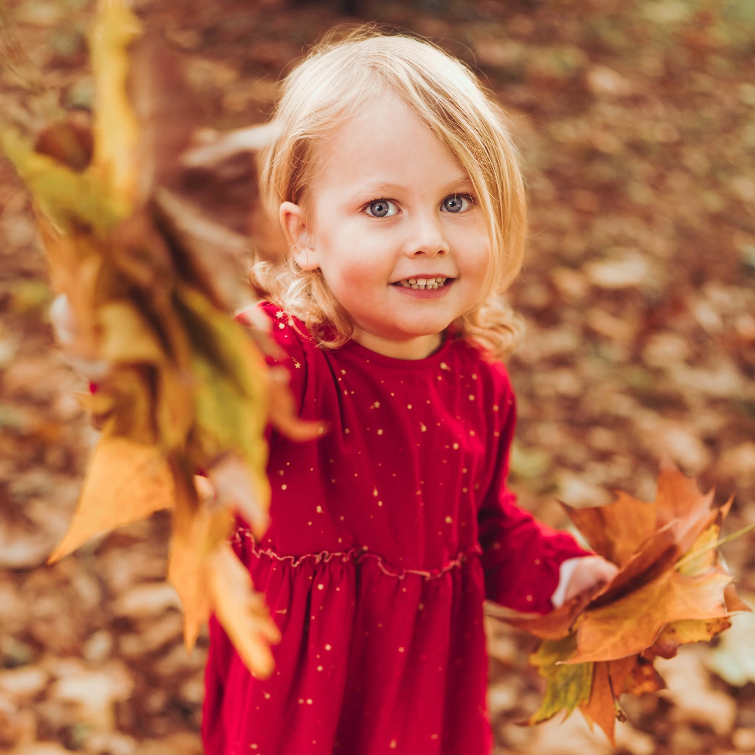Photos famille Toulouse