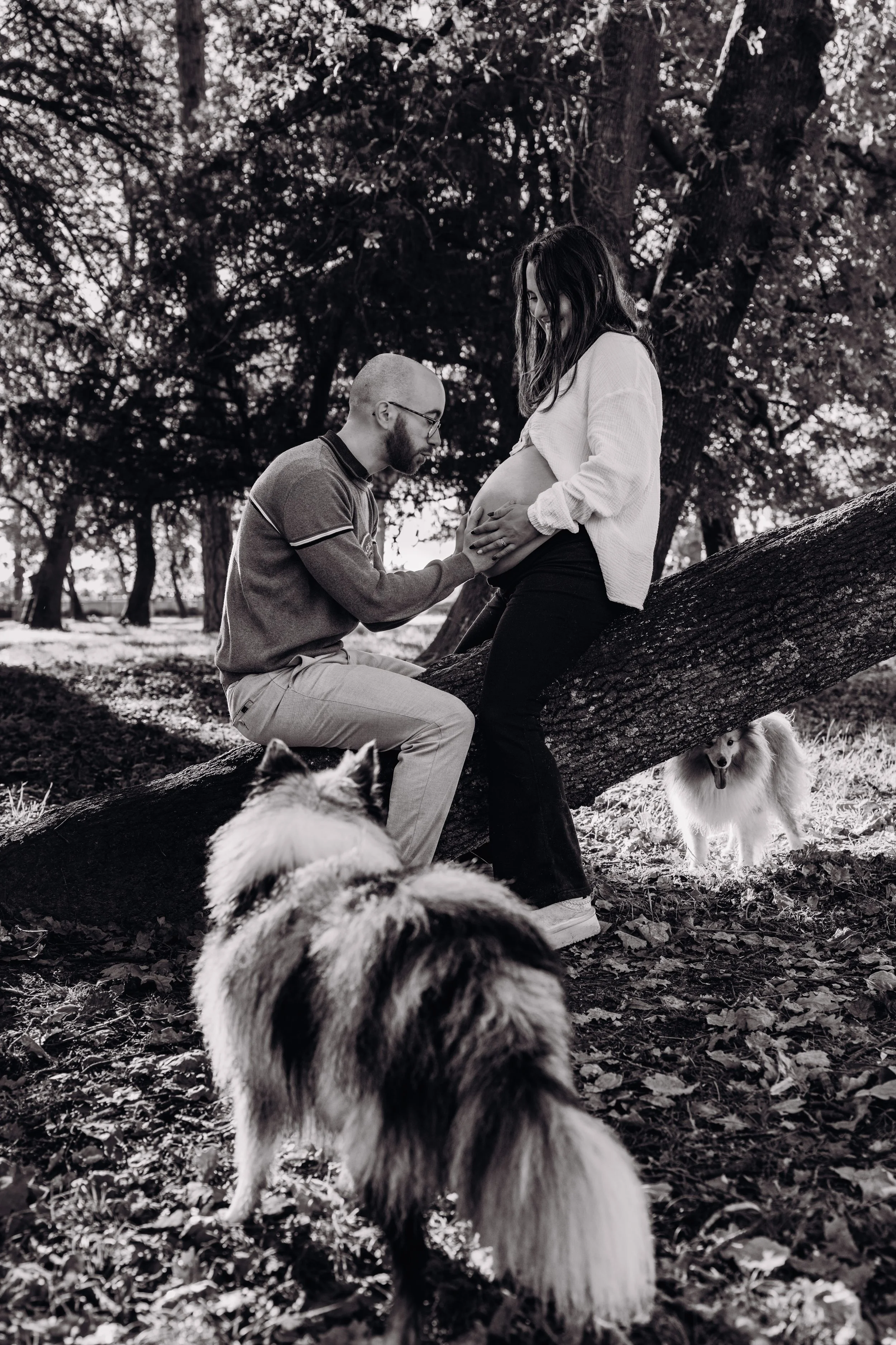 Photographe grossesse Toulouse