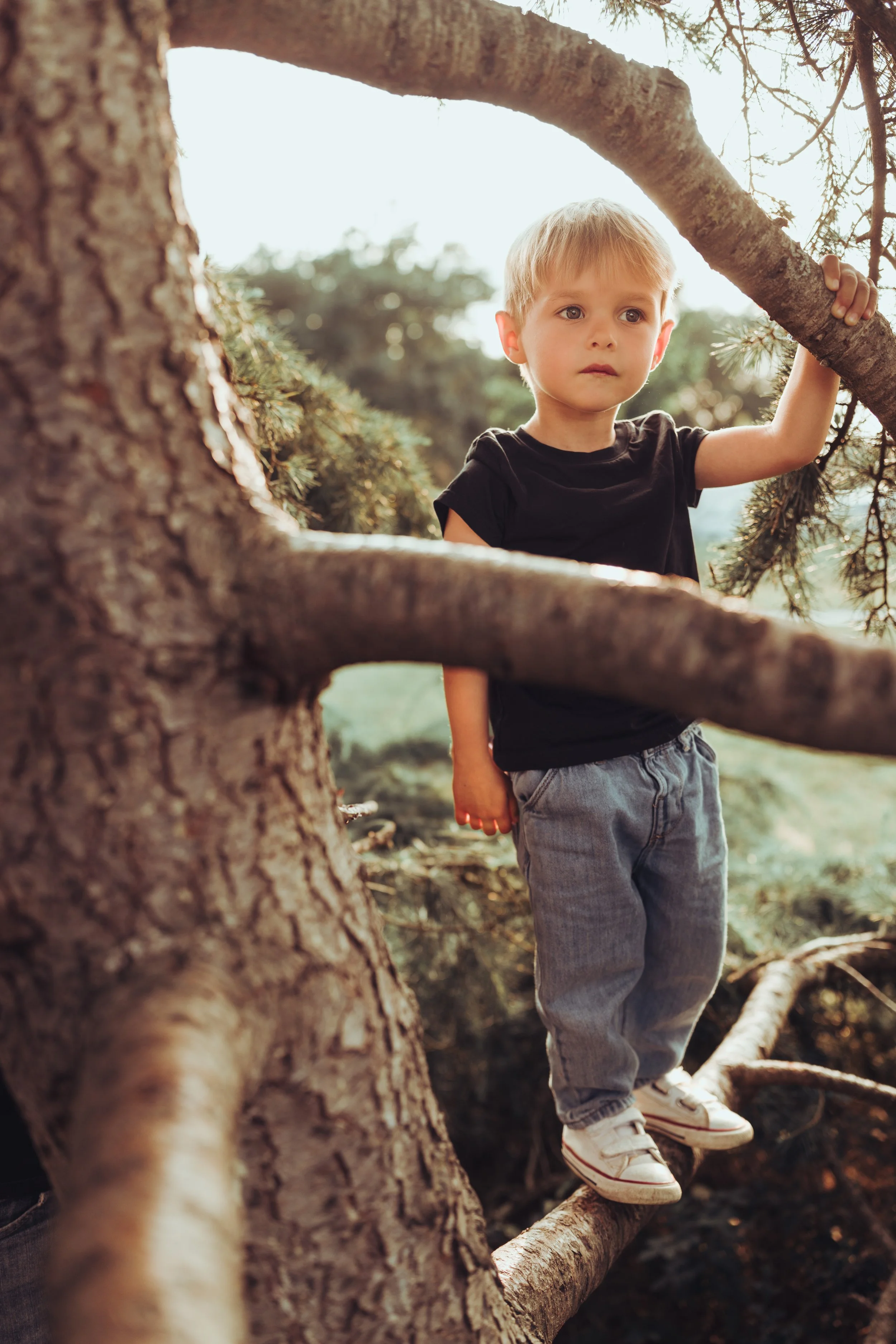 Un jeune garçon blond portant un t-shirt noir, un jean gris et des chaussures blanches, se tenant sur une branche d'arbre en nature, regardant pensivement autour de lui.
