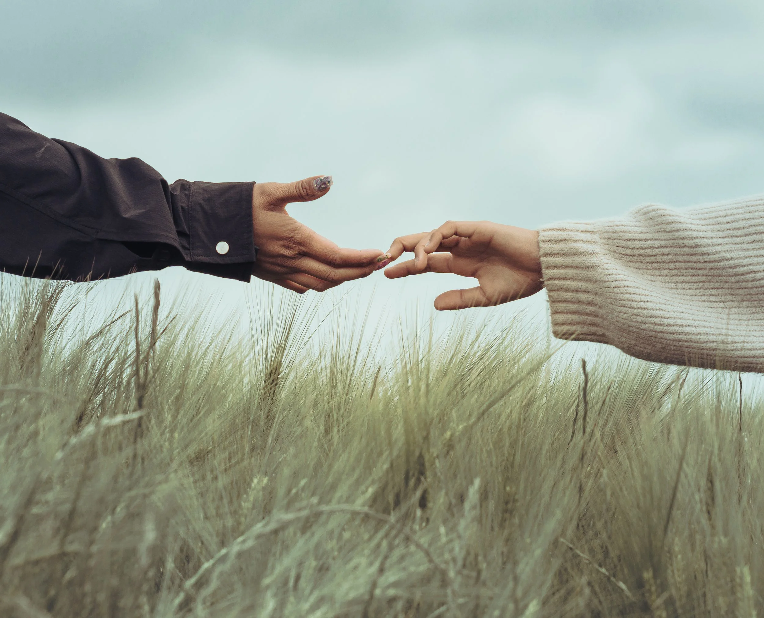 Deux mains s'étendent l'une vers l'autre dans un champ d'herbe, symbolisant la connexion ou l'aide, sous un ciel nuageux.