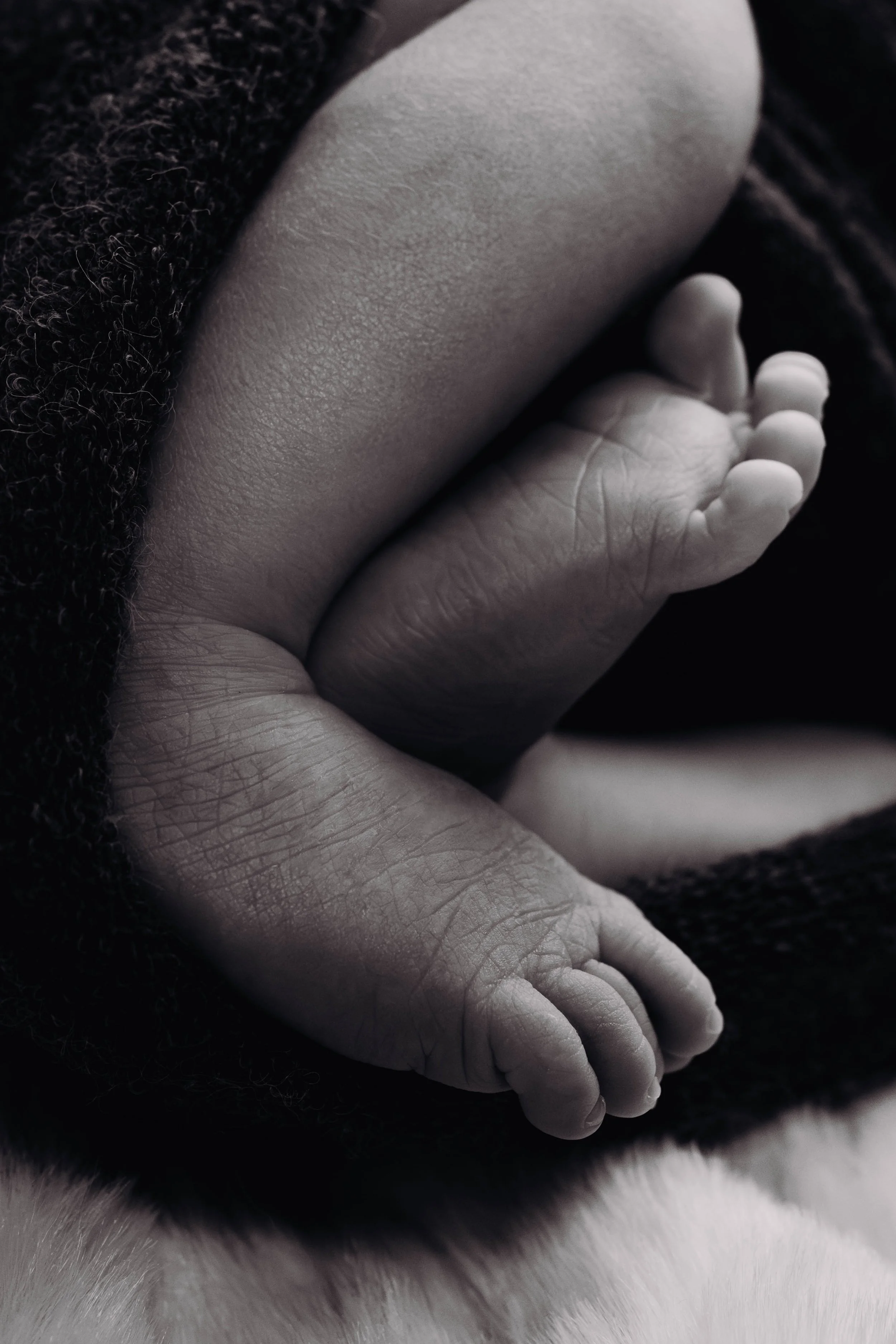 Photographe naissance Toulouse