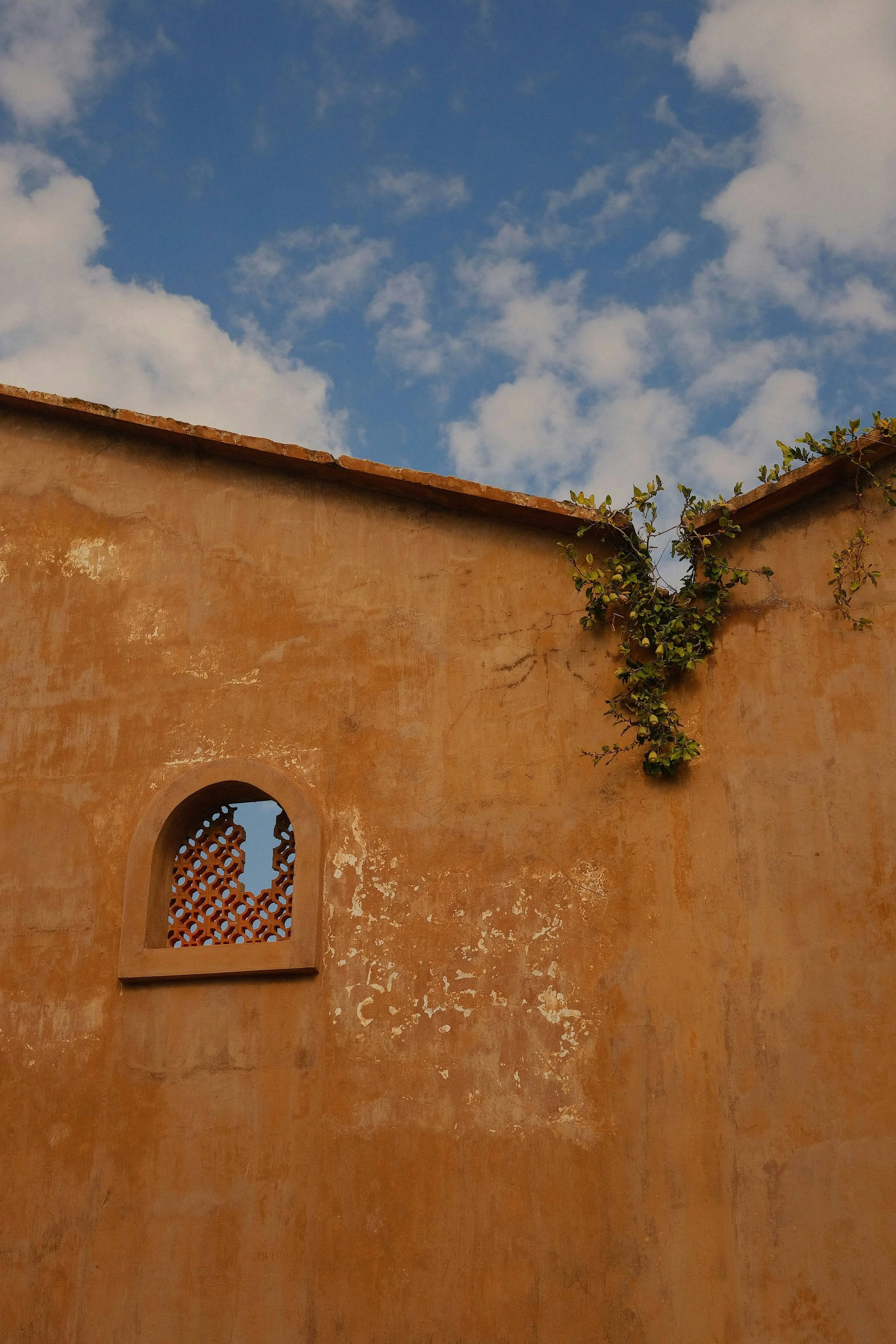 Five Gentle Reminders When Navigating Unhealthy Family Relationships