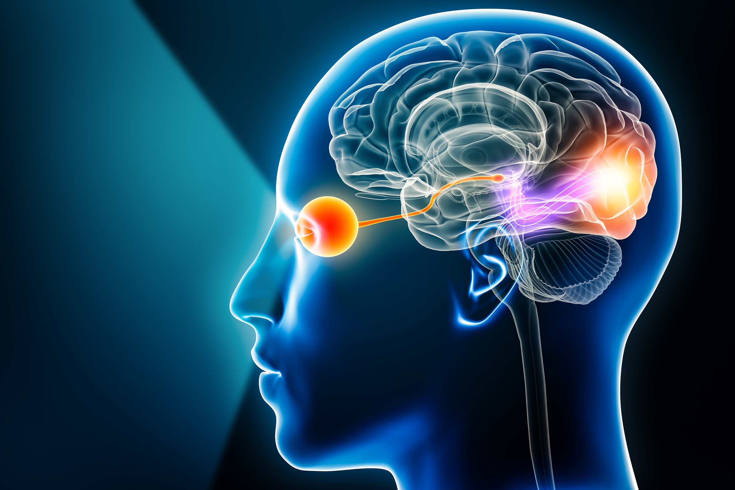 What Is Brainspotting and How Can It Support Healing?