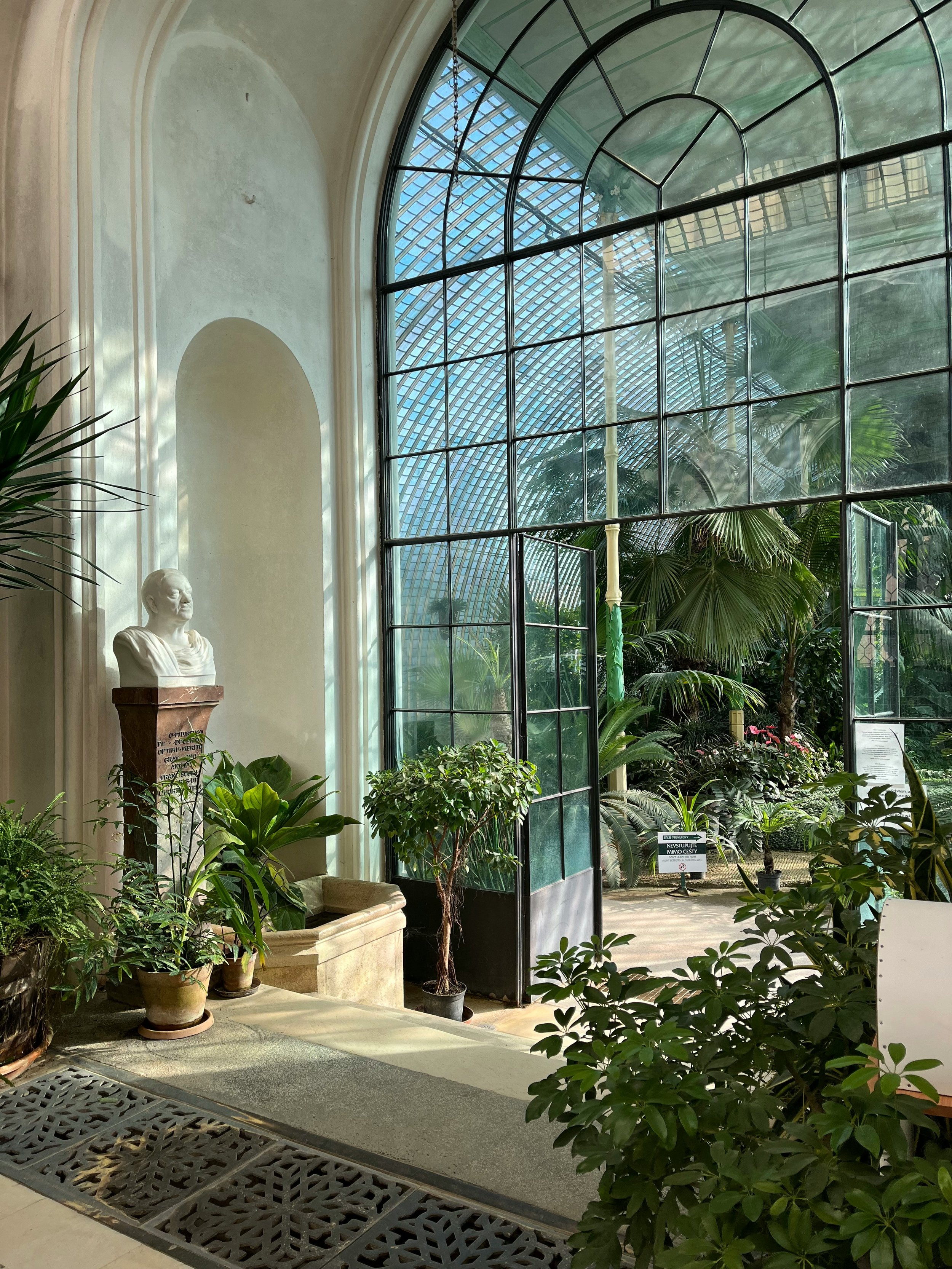 Greenhouse interior full of growing plants representative of nurturing growth and healing