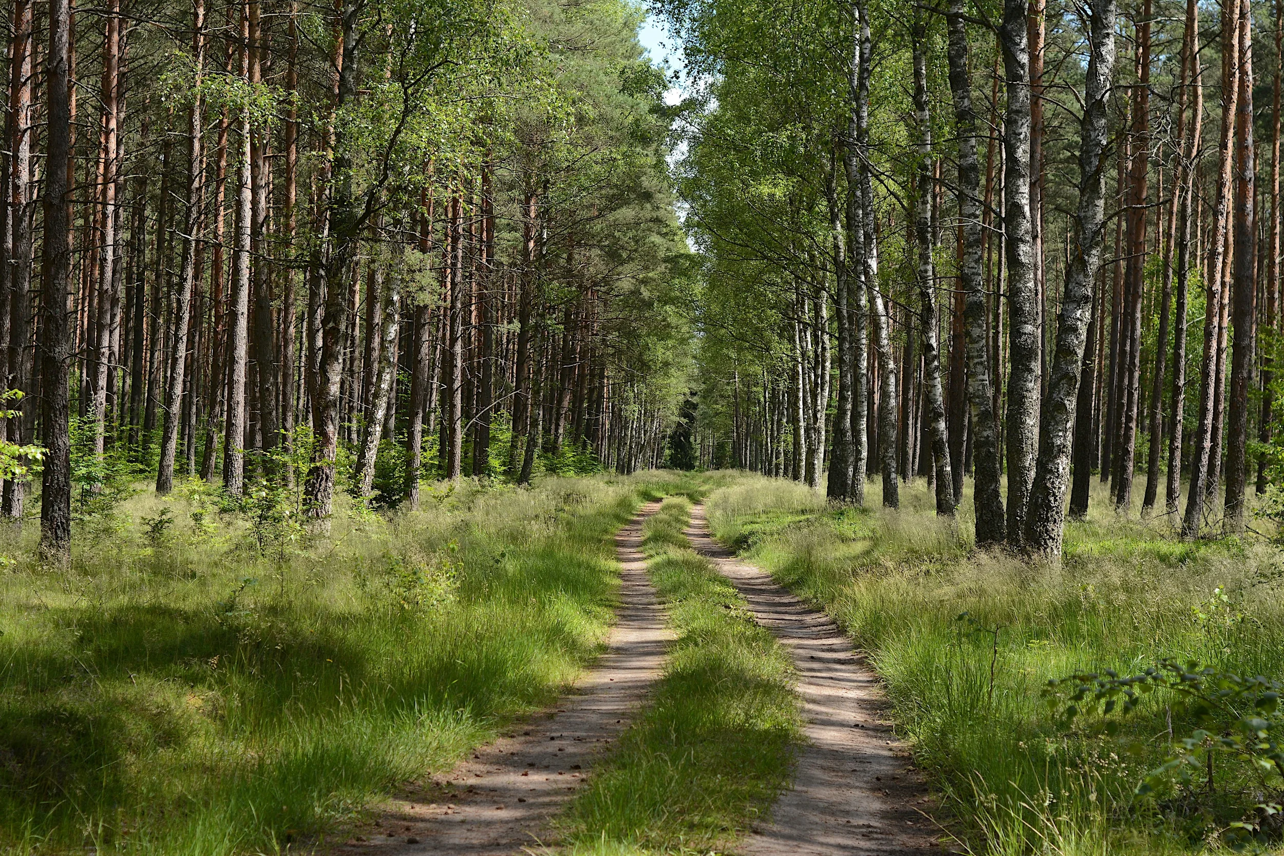 Atmospheric landscape for intensive therapy