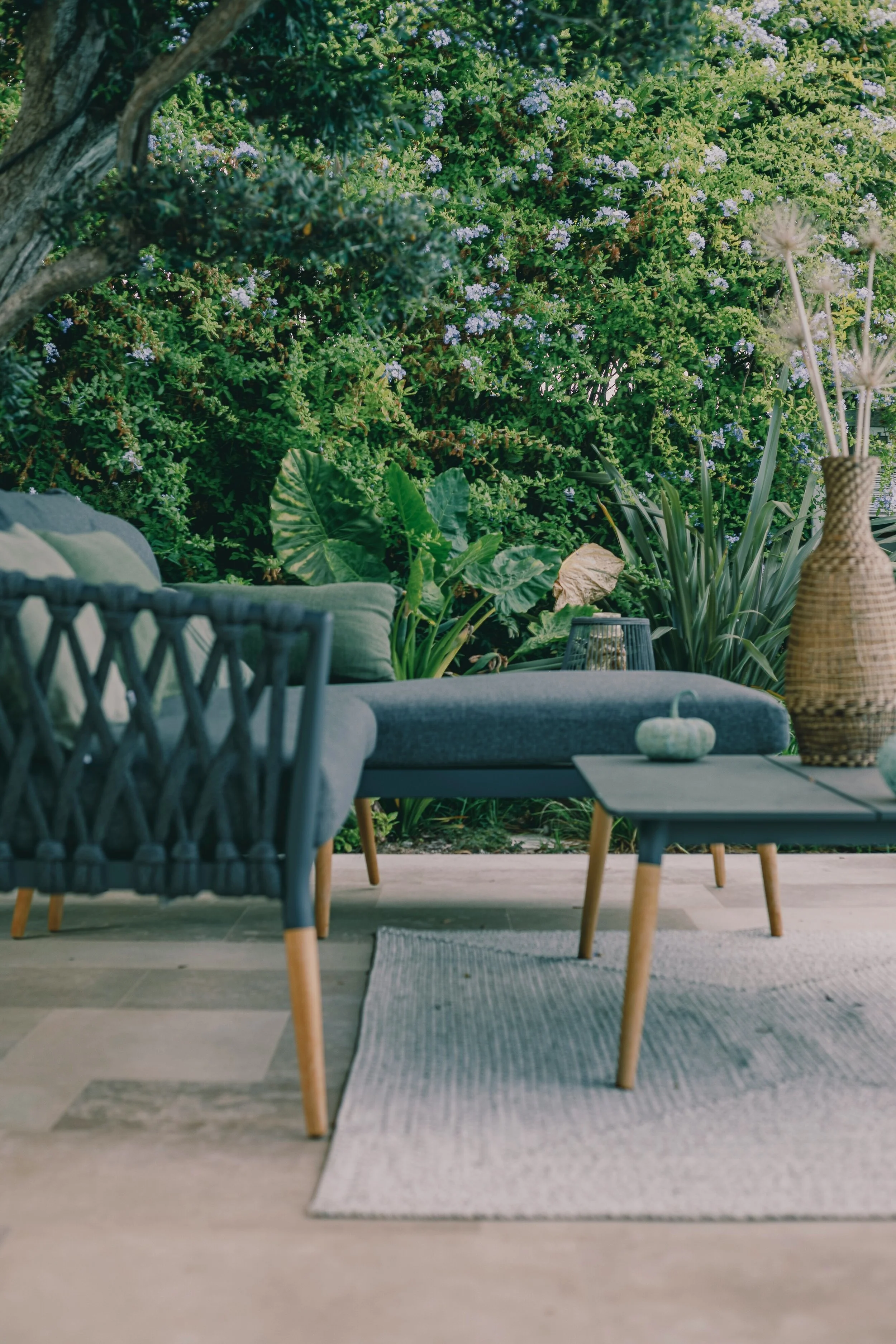 Calm garden seating surrounded by greenery representative of healing anxiety