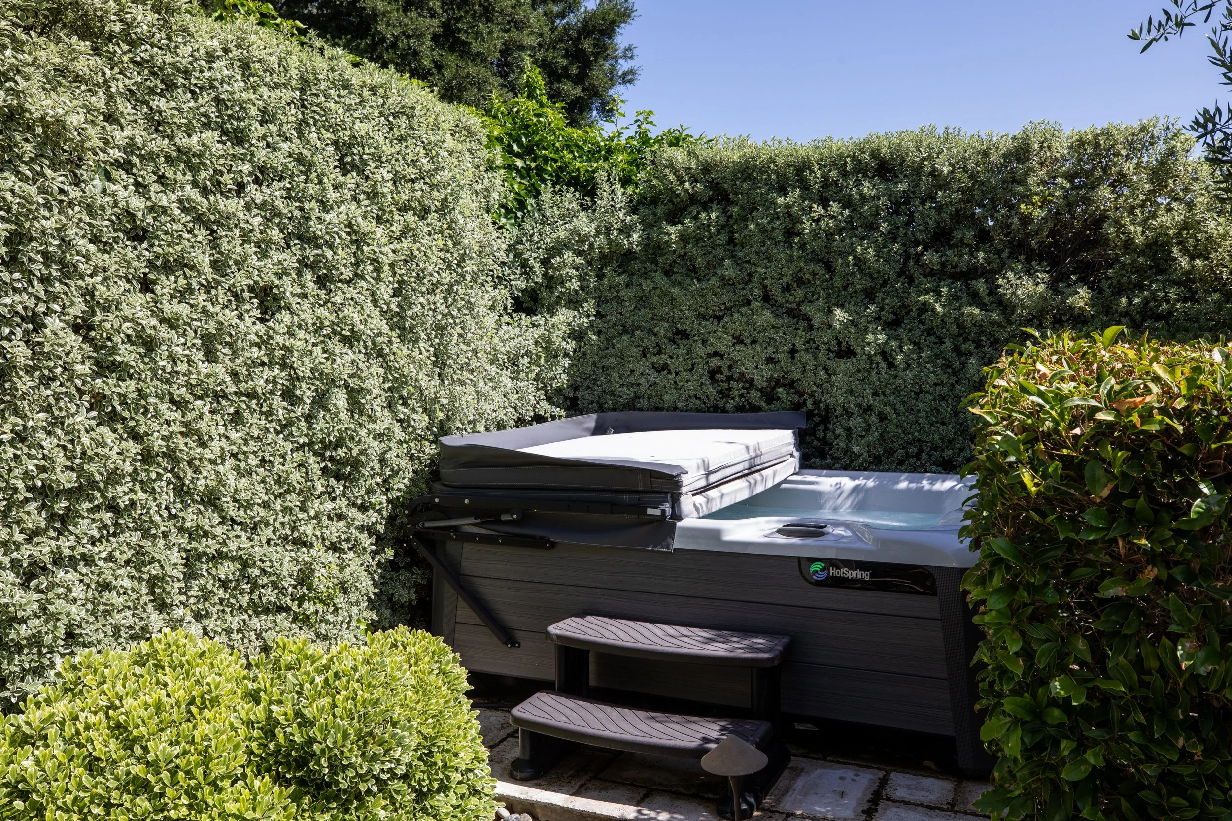 36-Bay Tree_Matt Anello-9984-MLS.jpg