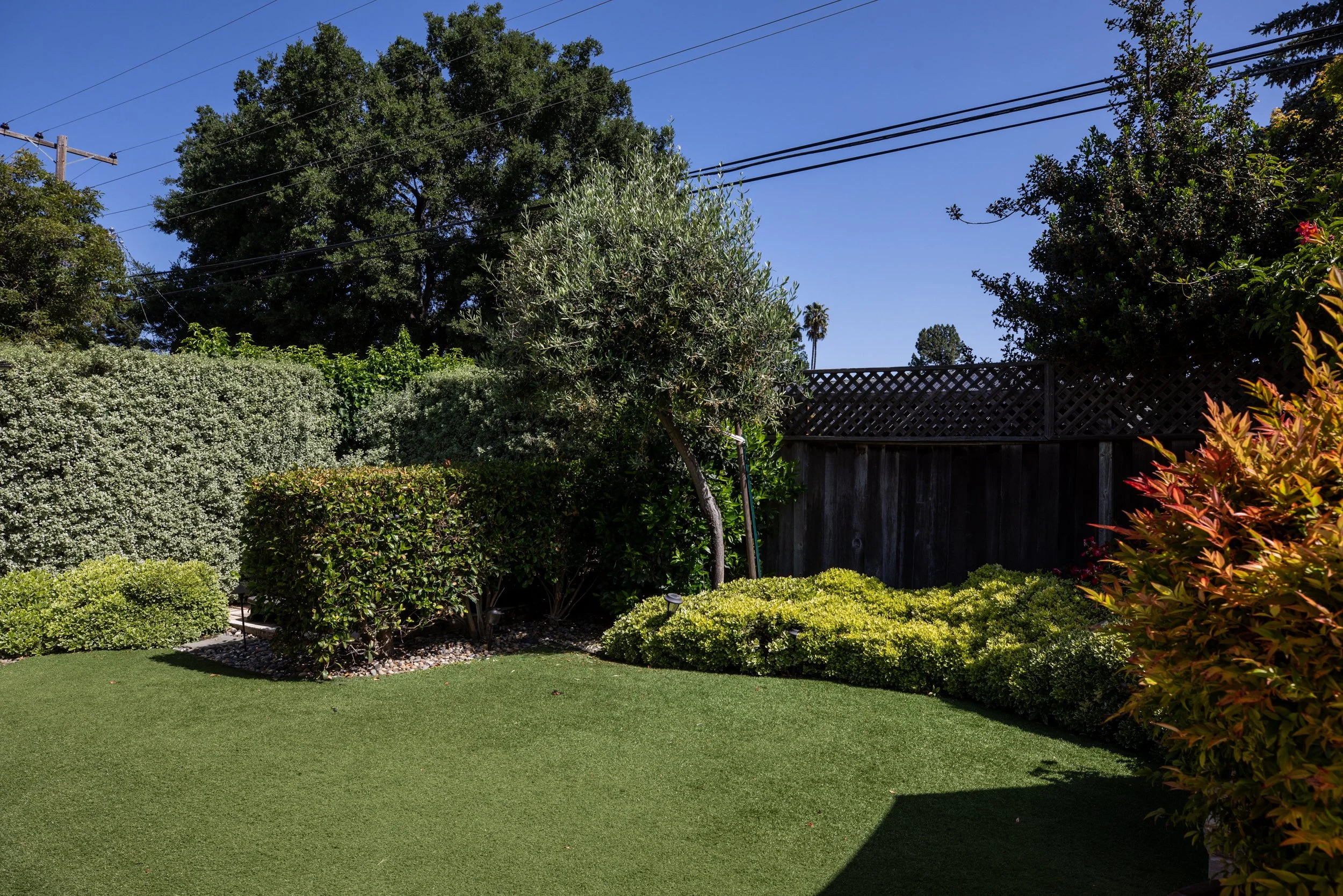 34-Bay Tree_Matt Anello-9981-MLS.jpg