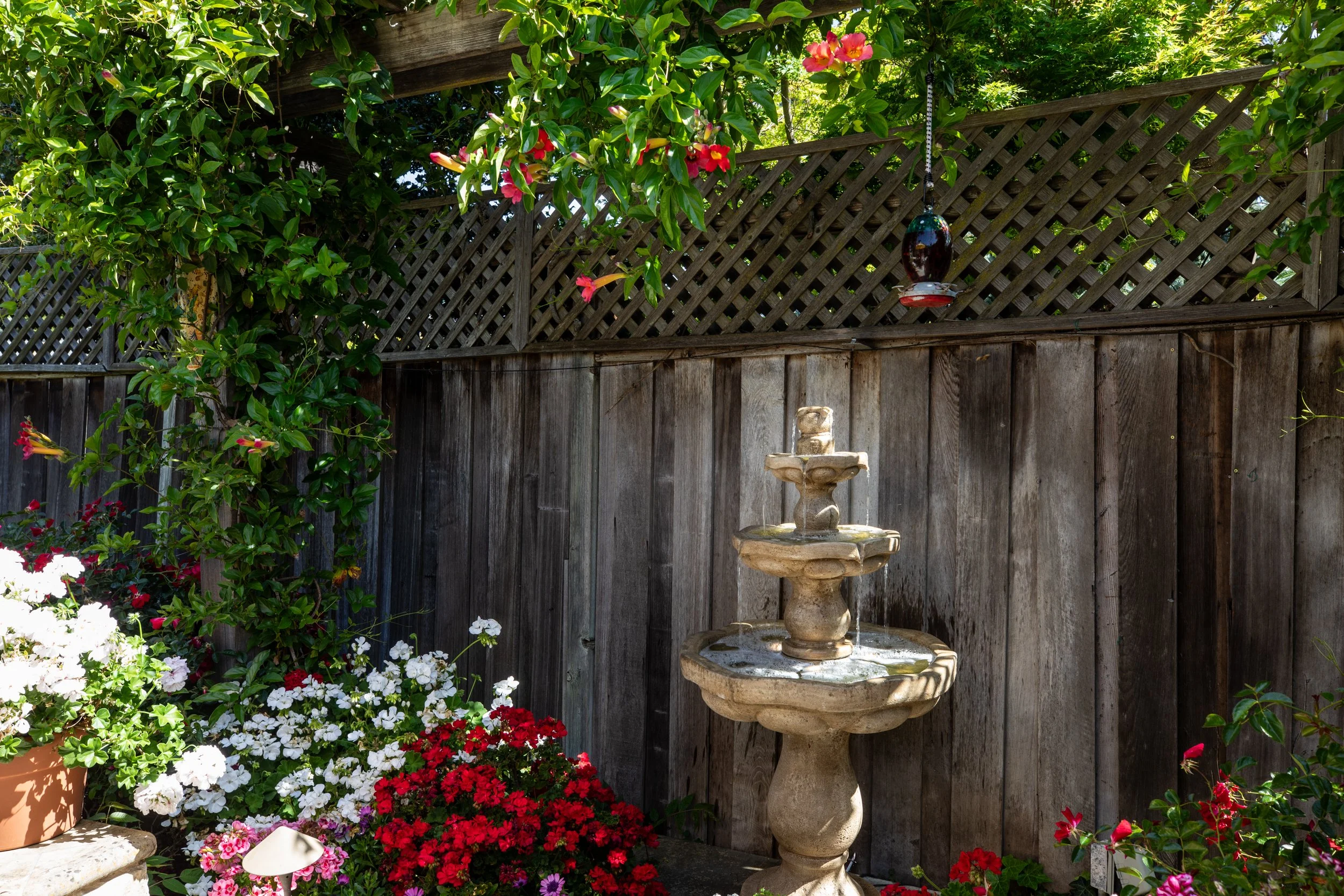 37-Bay Tree_Matt Anello-9985-MLS.jpg