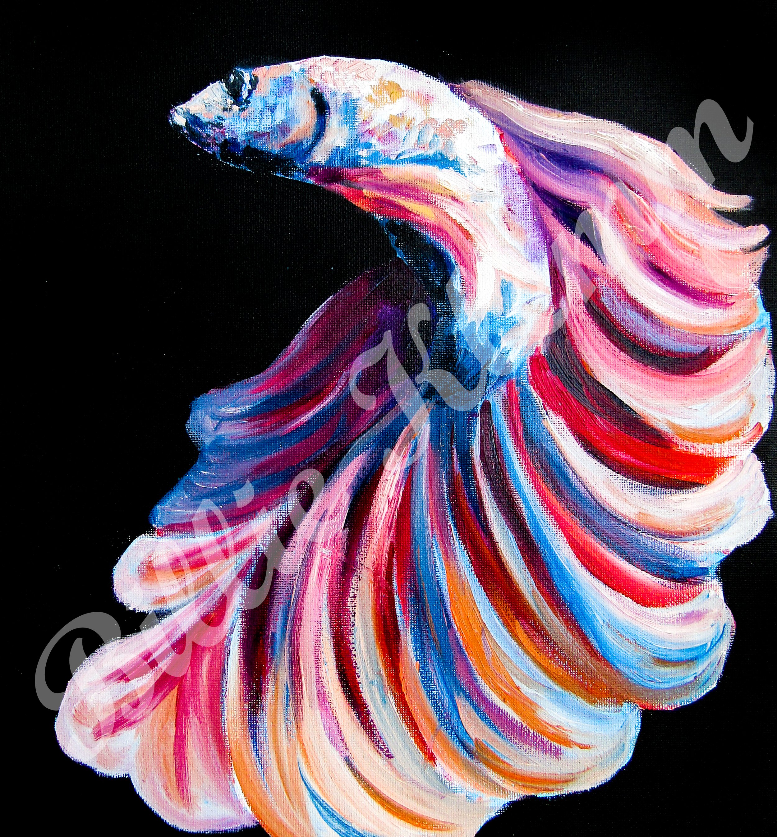 Painting of a betta fish with flowing fins in shades of pink, blue, red, and white against a black background.
