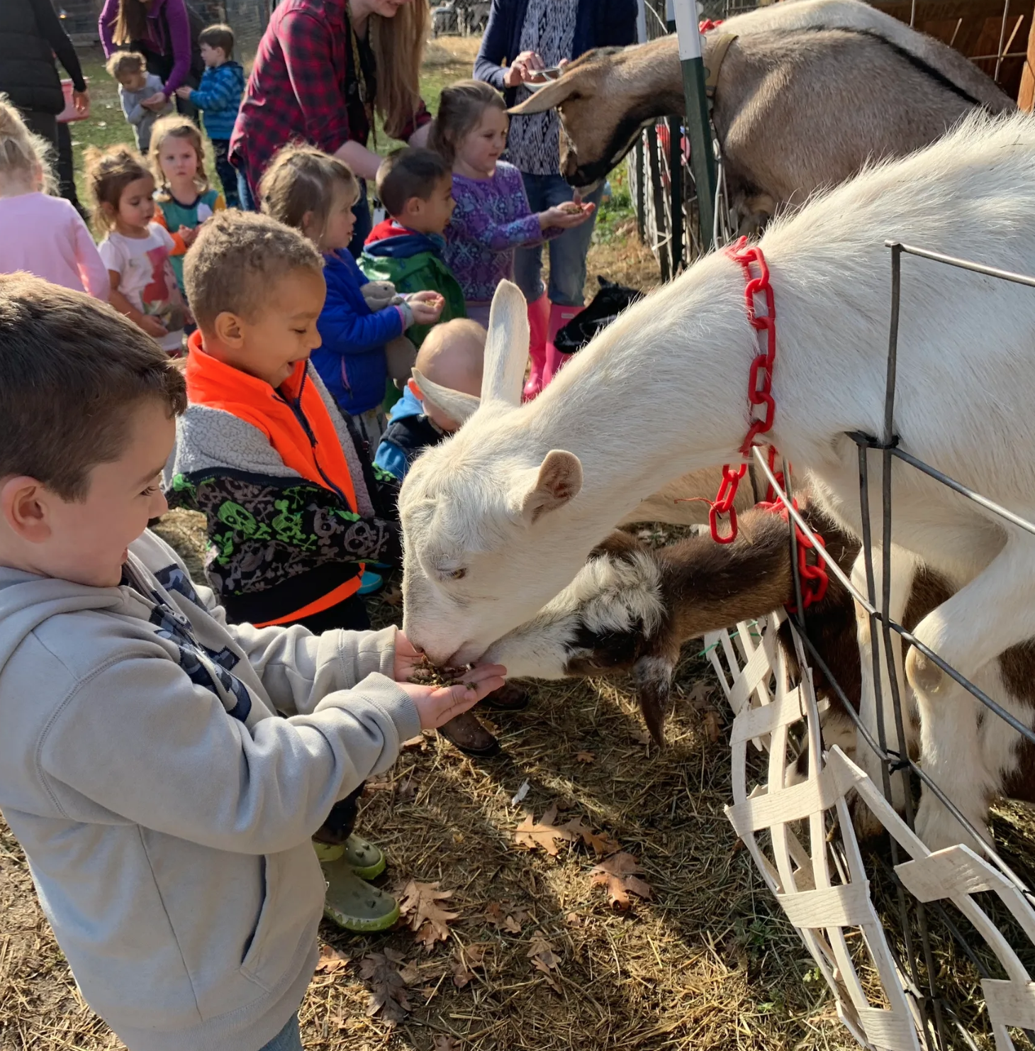 Screenshot 2026-03-06 at 10.09.58 PM.png