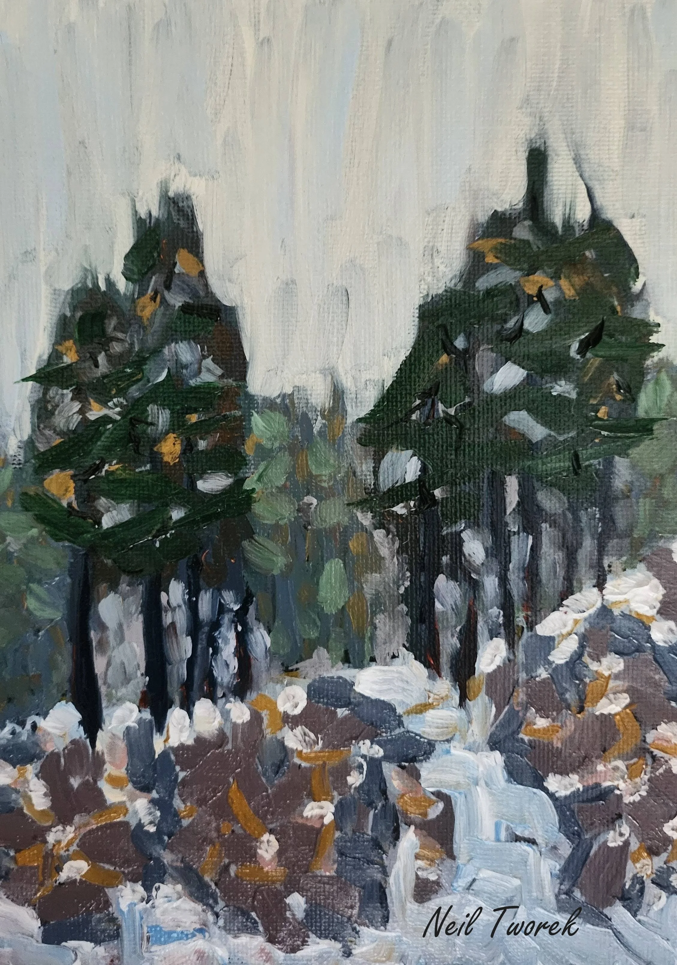 This is an oil painting of a scene where the actual location was just starting to shift into the spring. The air was full of the smell of pine trees from the frozen tree sap starting to flow. I could also hear the snow melting and falling off of the 