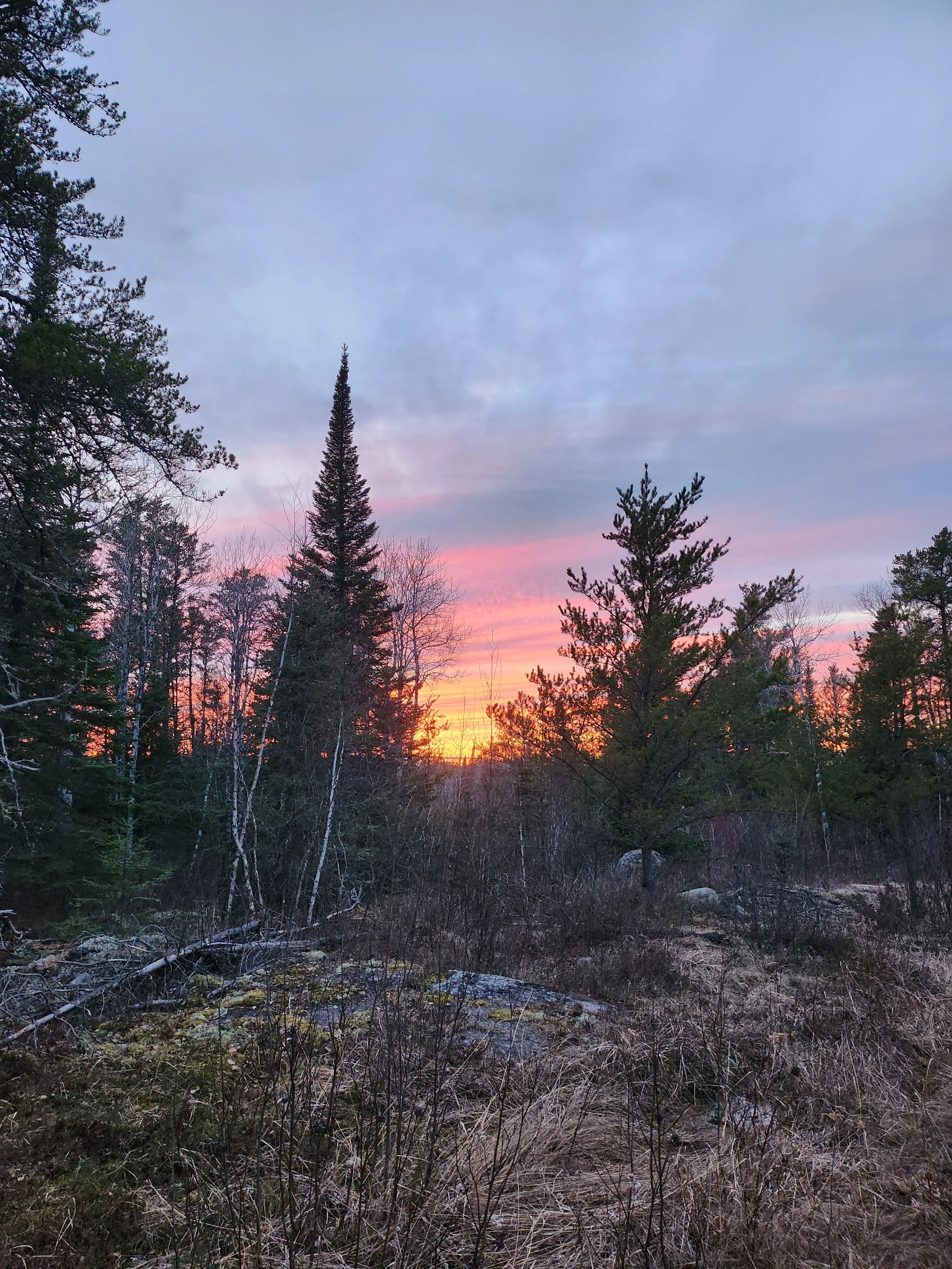 Experiencing nature through feeling