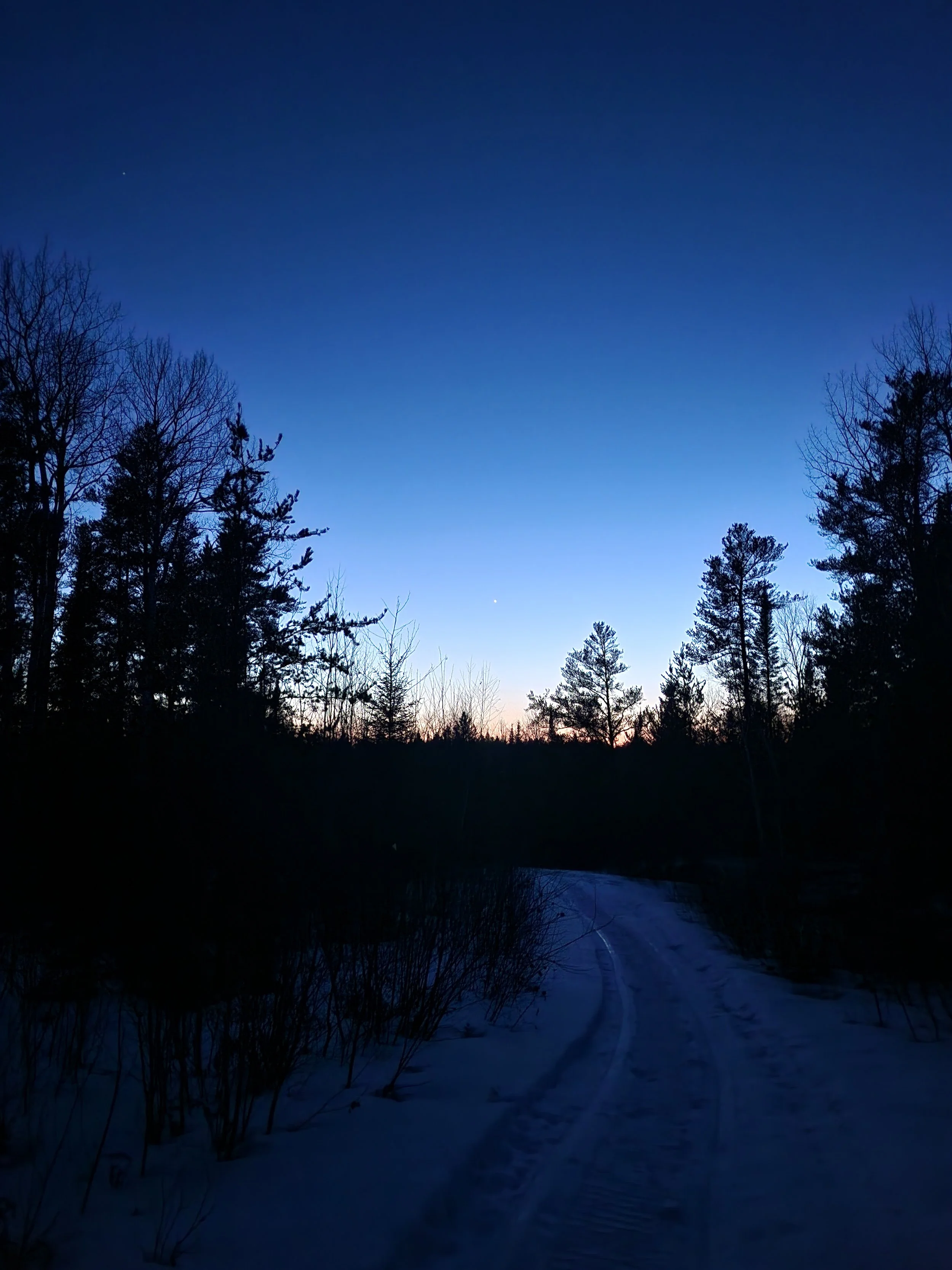 Slowness as Rebellion in Modern Life: The Oil Painter’s Quiet Resistance

