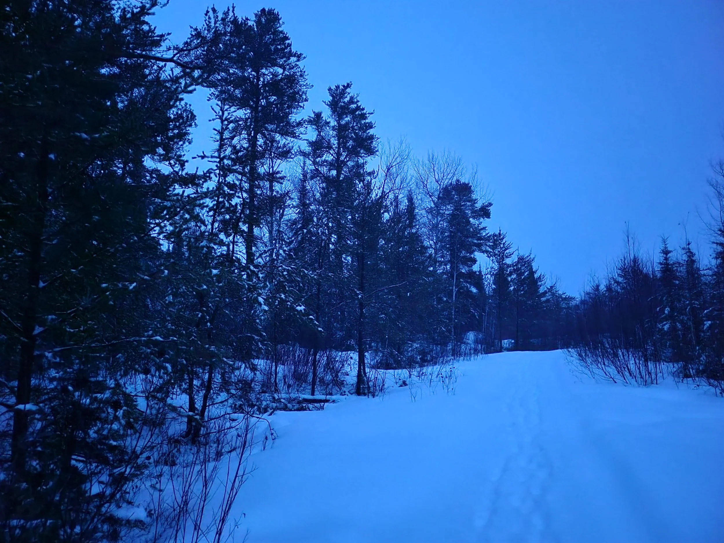 Finding beauty in quiet Canadian landscapes

