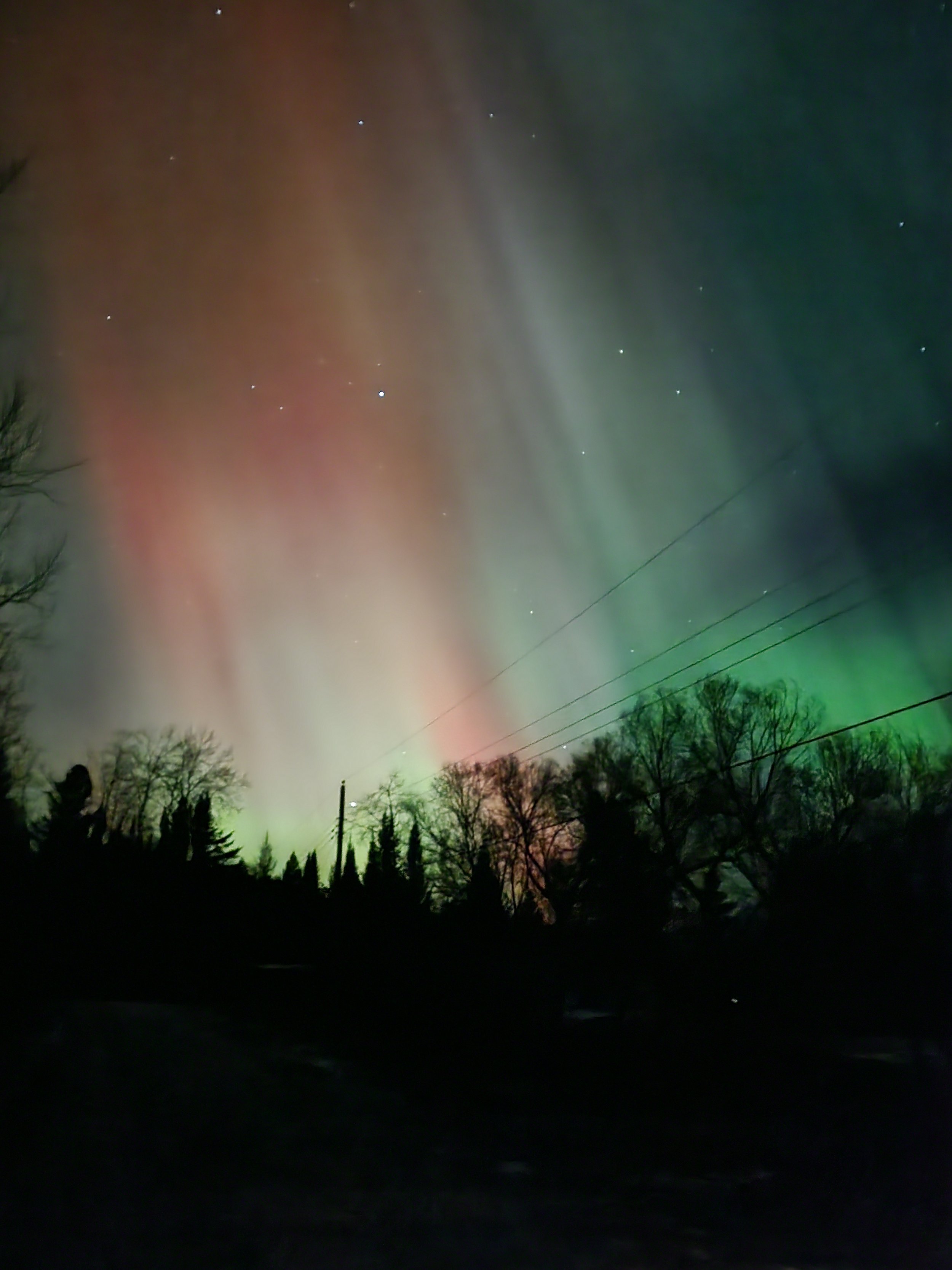 Beautiful northern lights or aurora borealis in the night sky with stars, trees, and power lines silhouetted at the bottom.