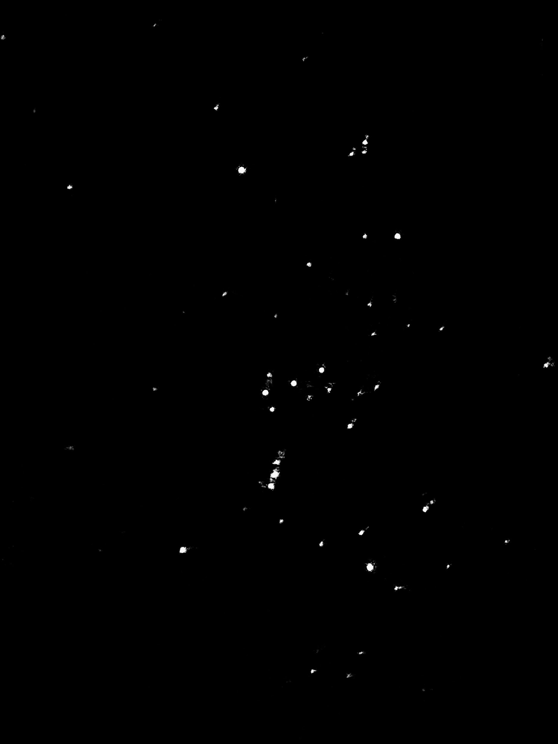 How Nature’s Mystery Inspires Me

