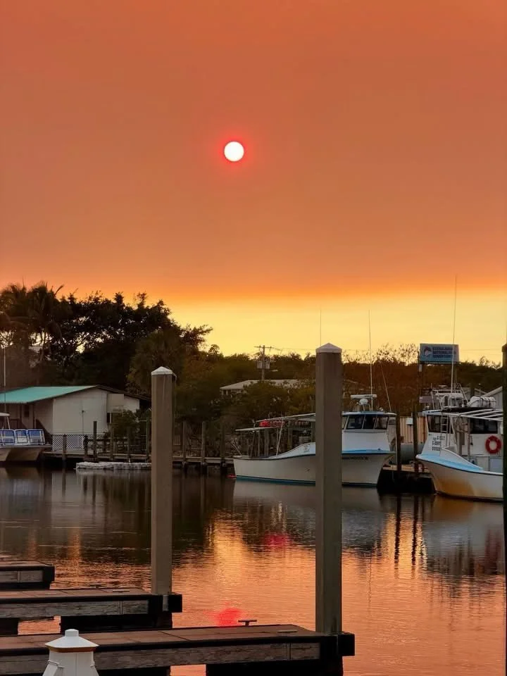 WILDFIRES STRETCHING north toward I-75 (currently crossing) created a glowing sunset today in Everglades City, Florida.

📸 Dani Marie Jenkins
