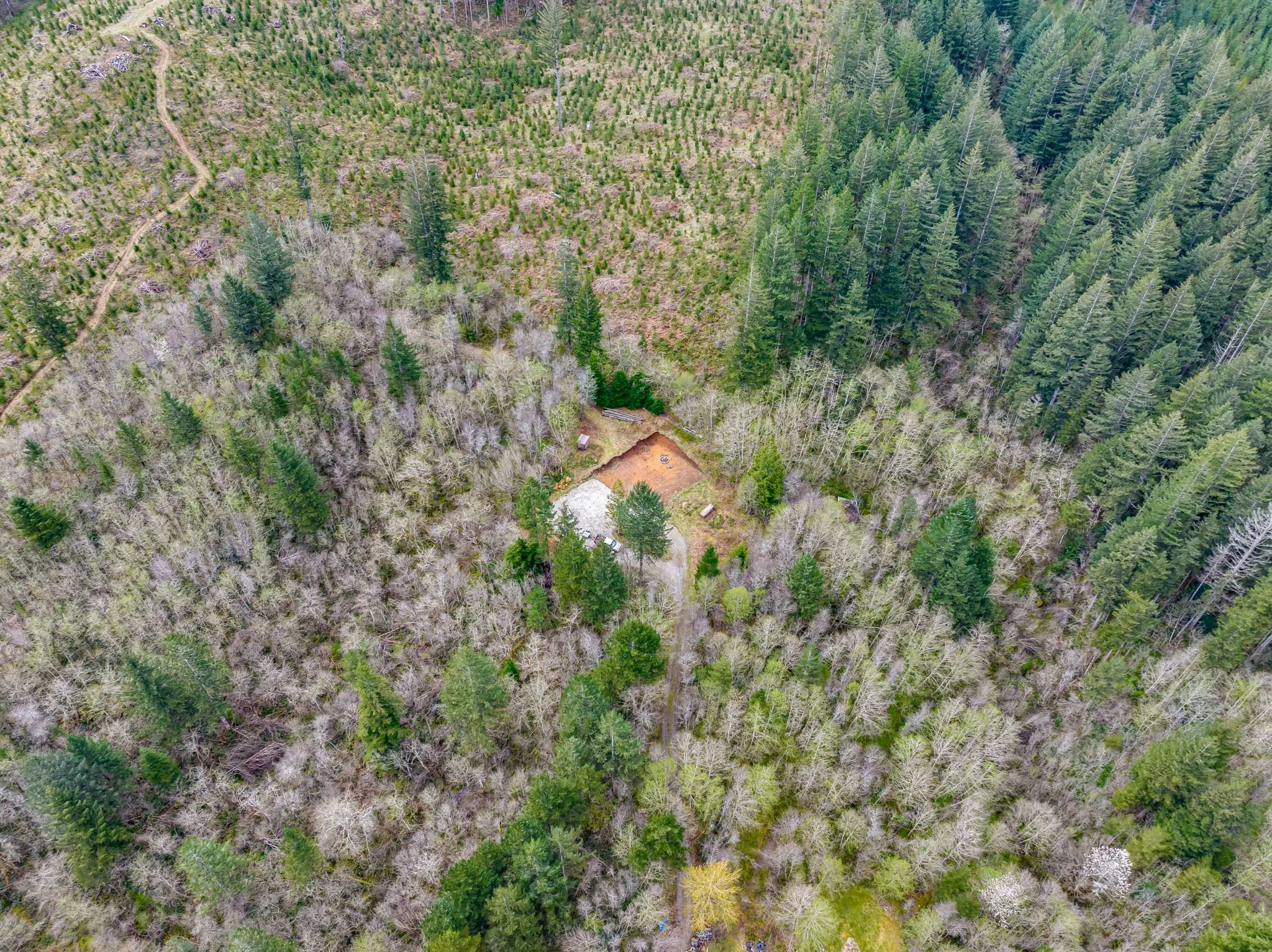 12-web-or-mls-5506 NE 349th Ave, Camas, WA 98607 (12).jpg