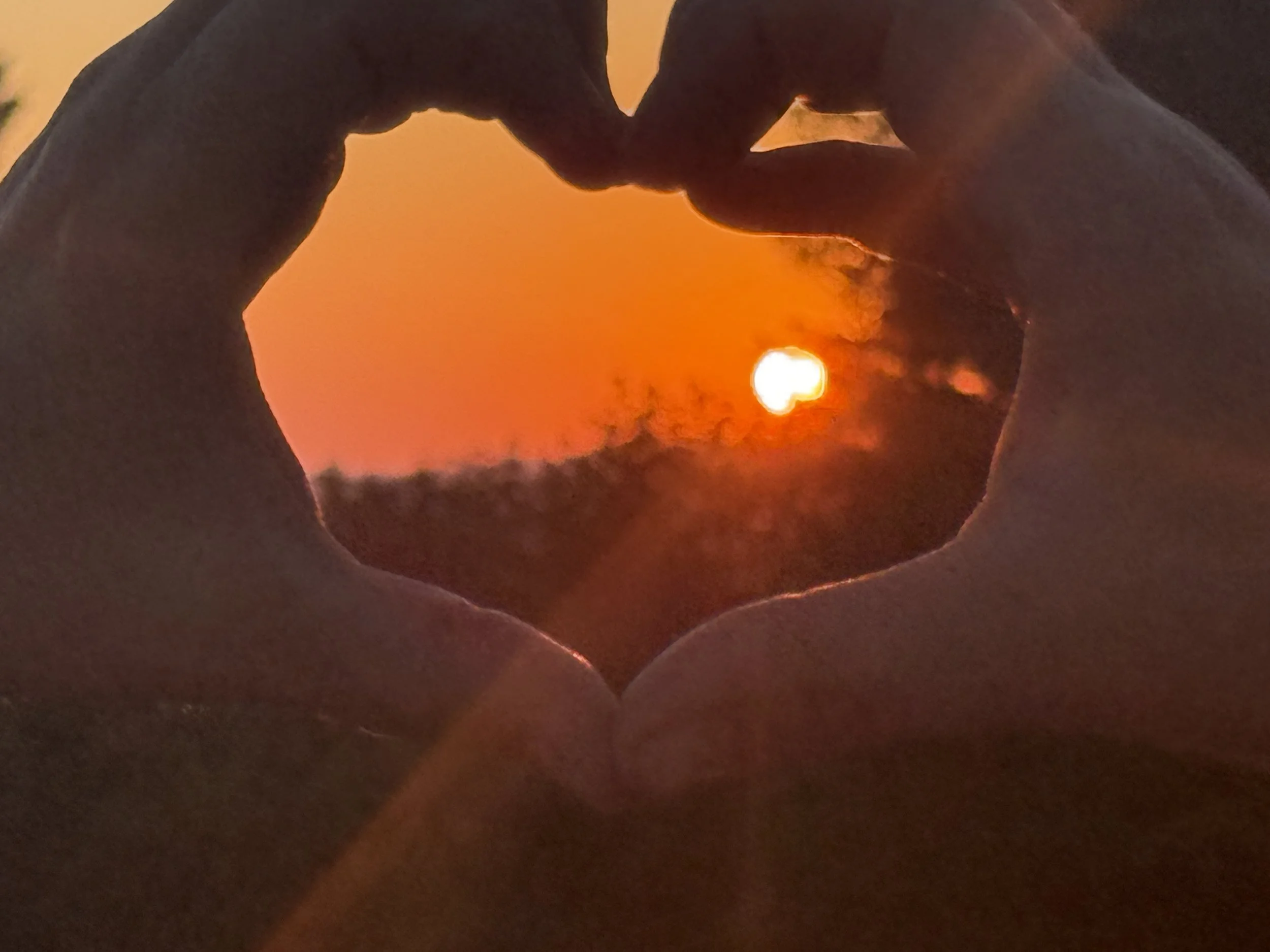A sunset viewed through hands forming a heart shape.