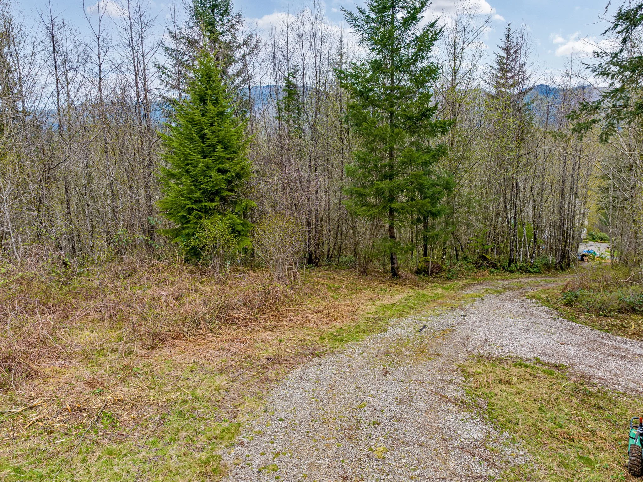 38-web-or-mls-5506 NE 349th Ave, Camas, WA 98607 (38).jpg