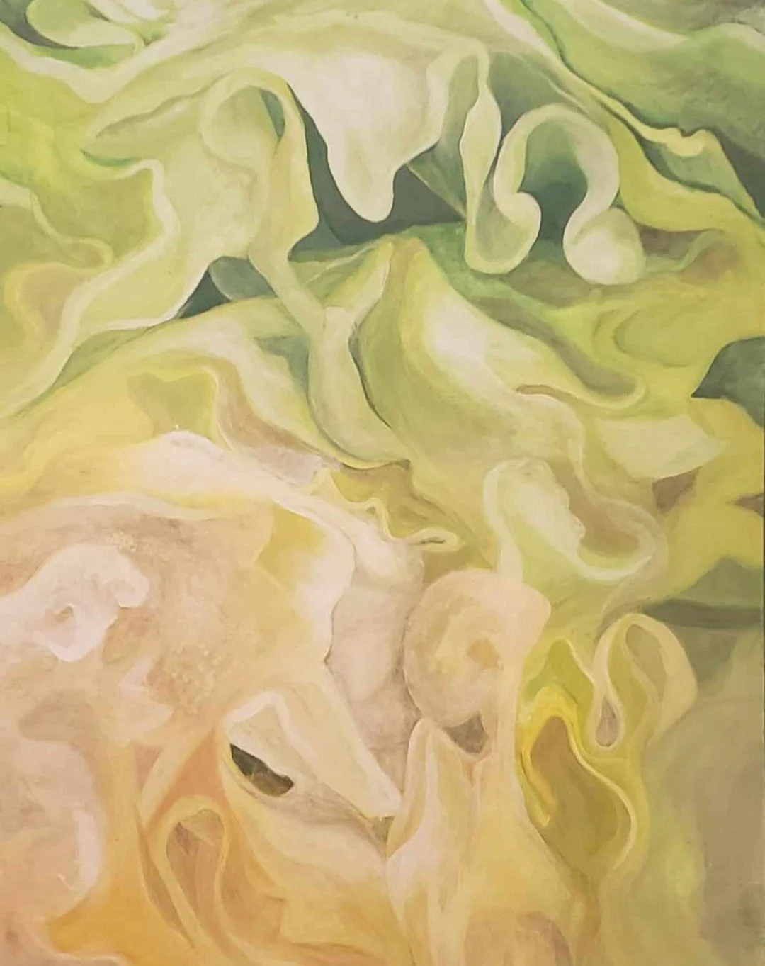 Lettuce 
Acrylic paint on board
