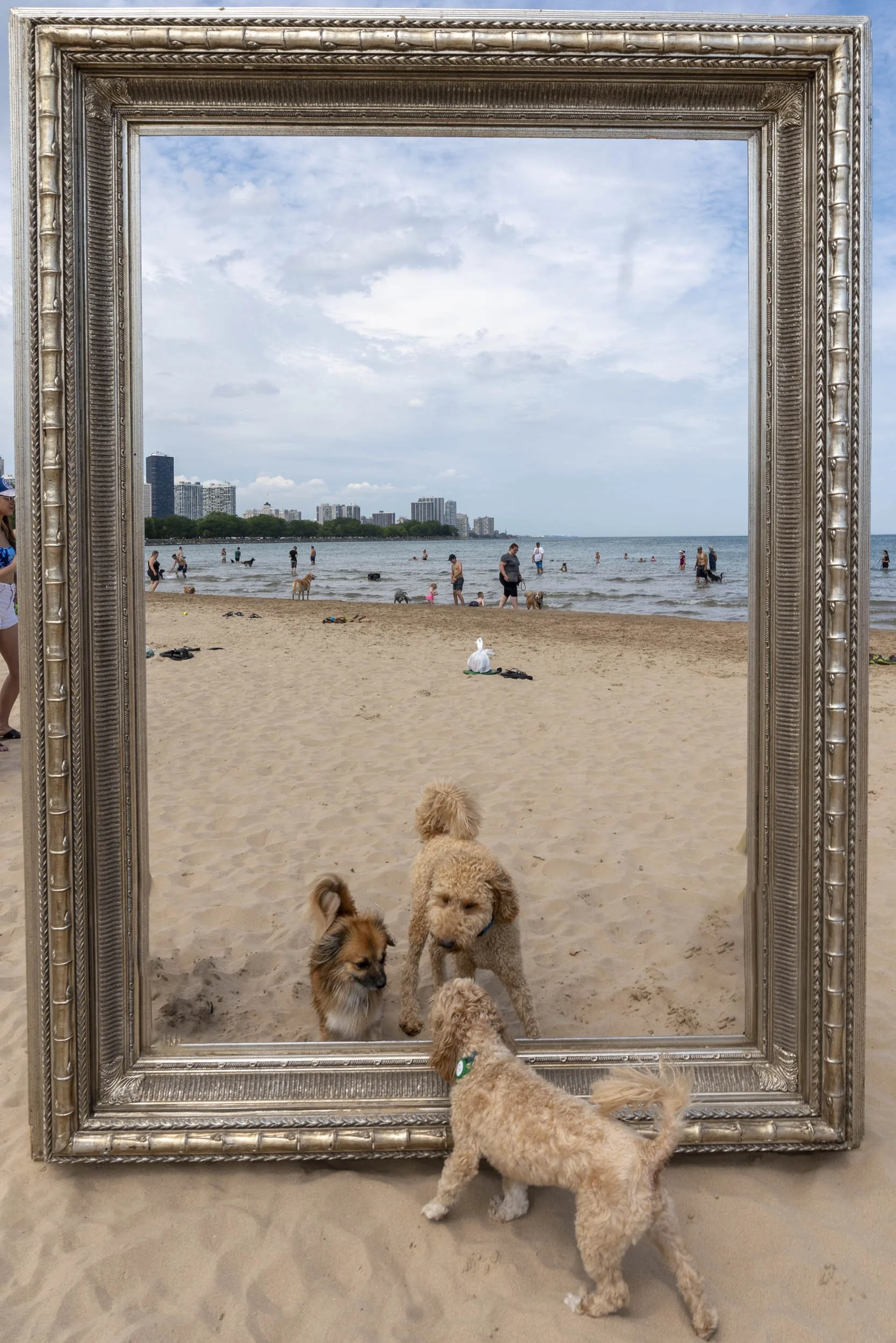 26_FramedinChicago_MontroseDogBeach2ForWebsite-5.jpg