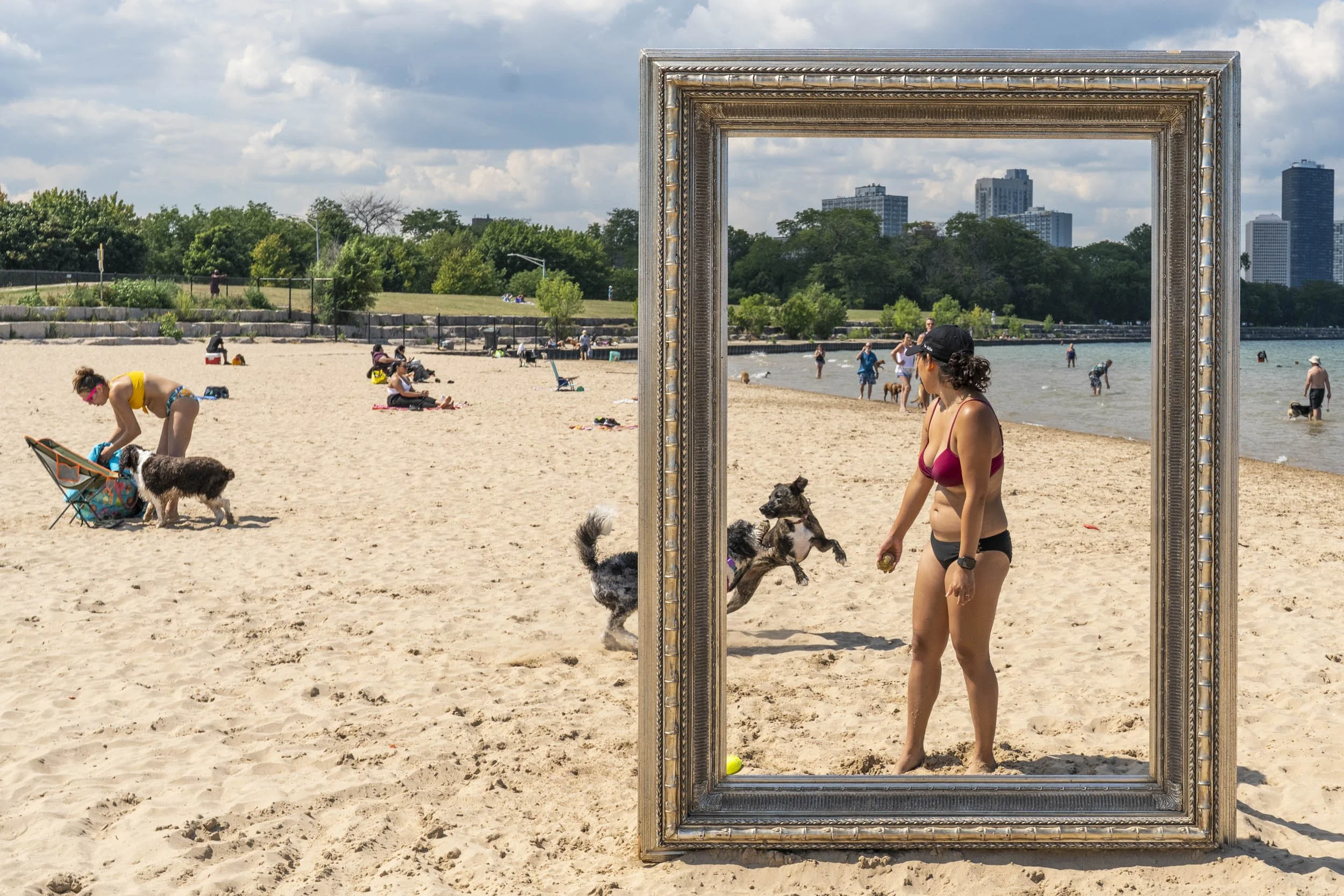 26_FramedinChicago_MontroseDogBeachForWebsite-19.jpg