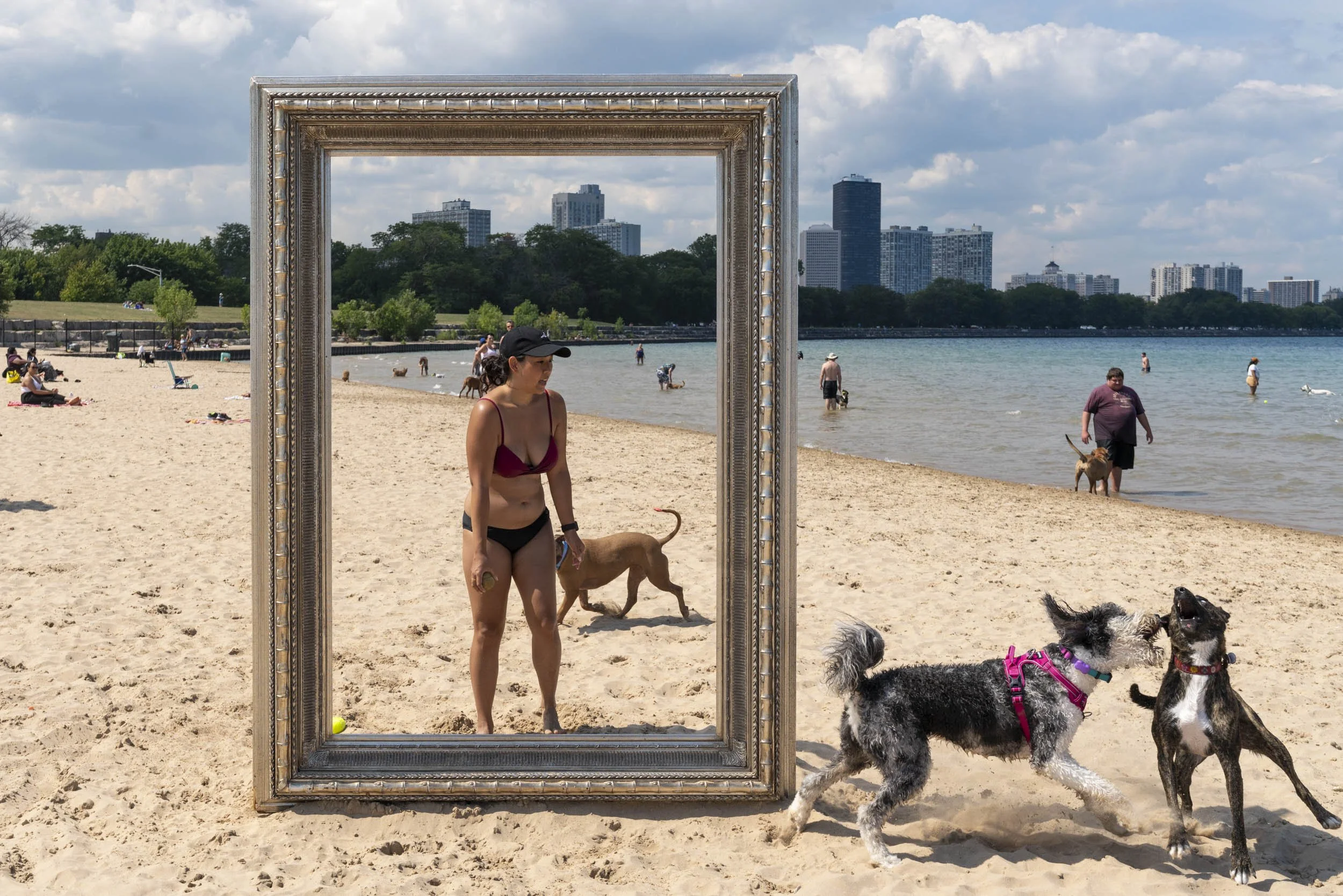 26_FramedinChicago_MontroseDogBeachForWebsite-20.jpg