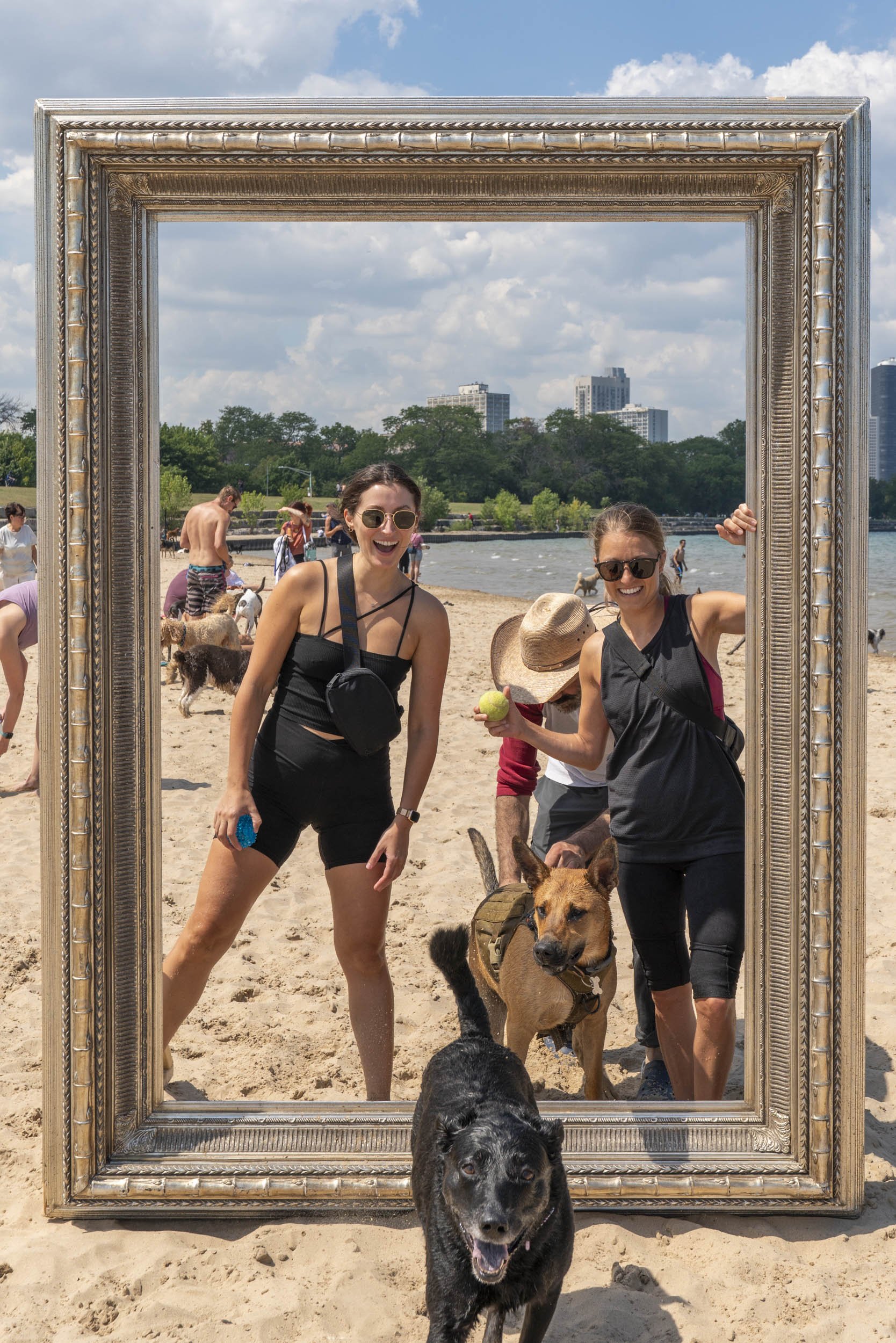 26_FramedinChicago_MontroseDogBeachForWebsite-13.jpg