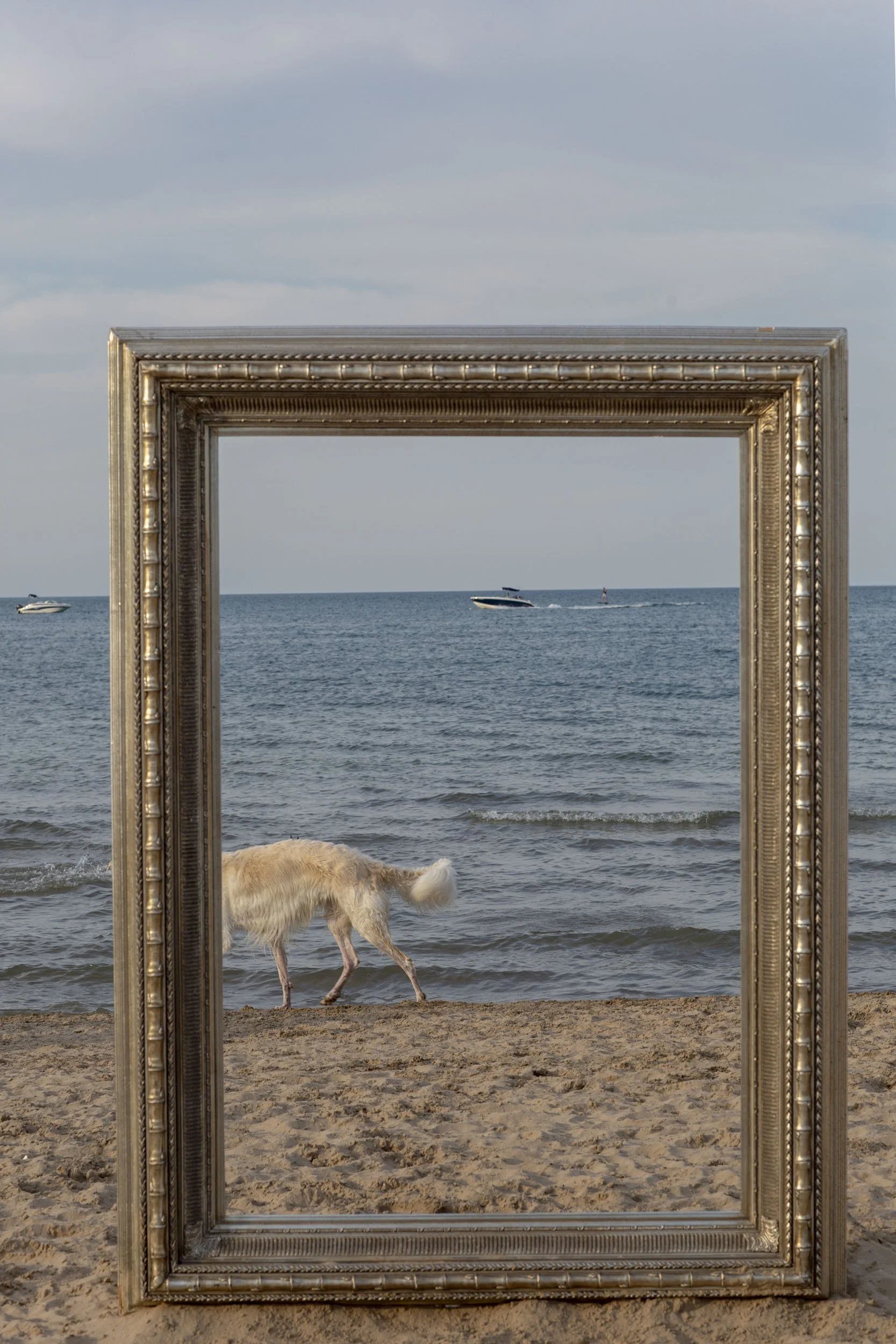 26_FramedinChicago_MontroseDogBeachForWebsite-44.jpg