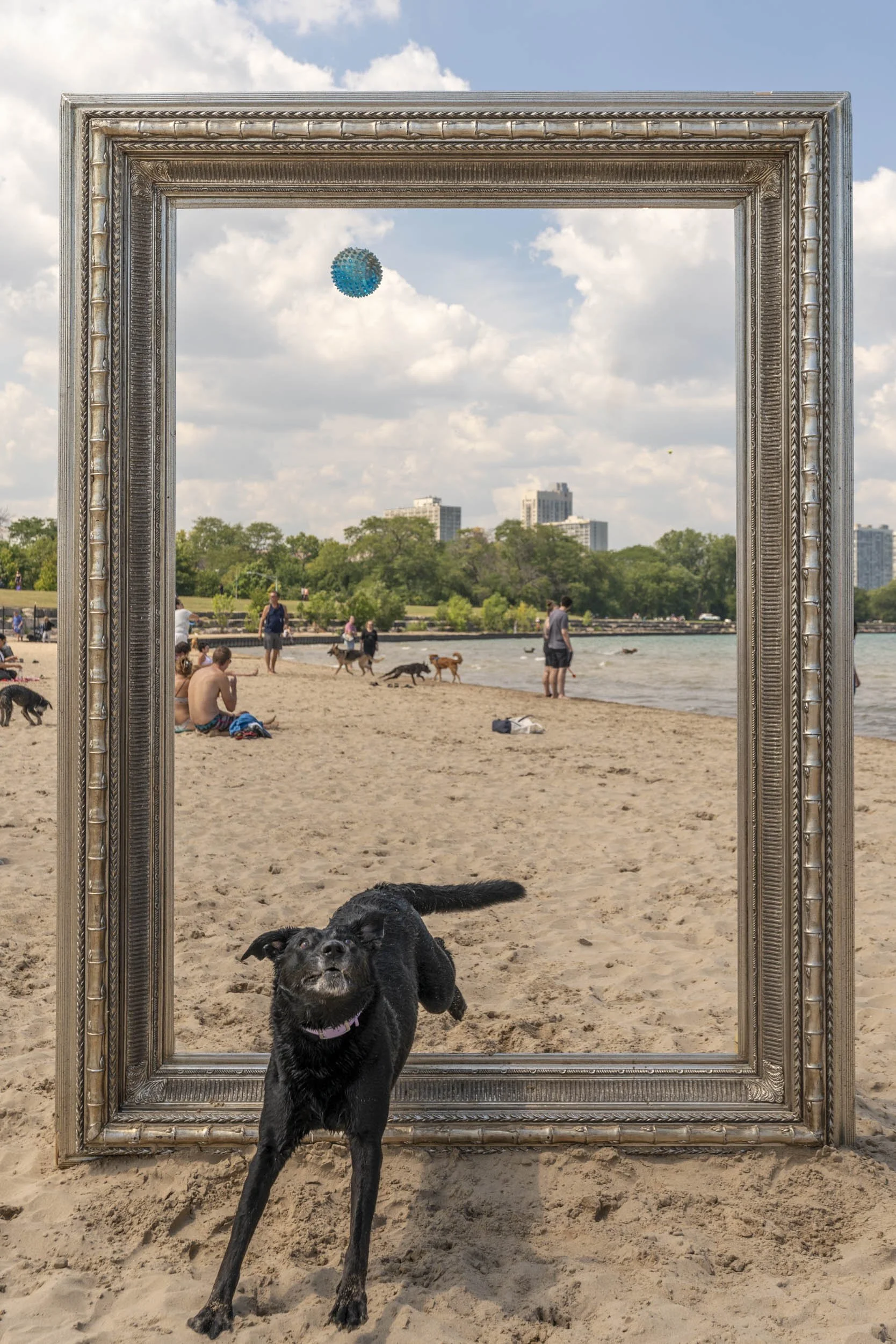 26_FramedinChicago_MontroseDogBeachForWebsite-14.jpg