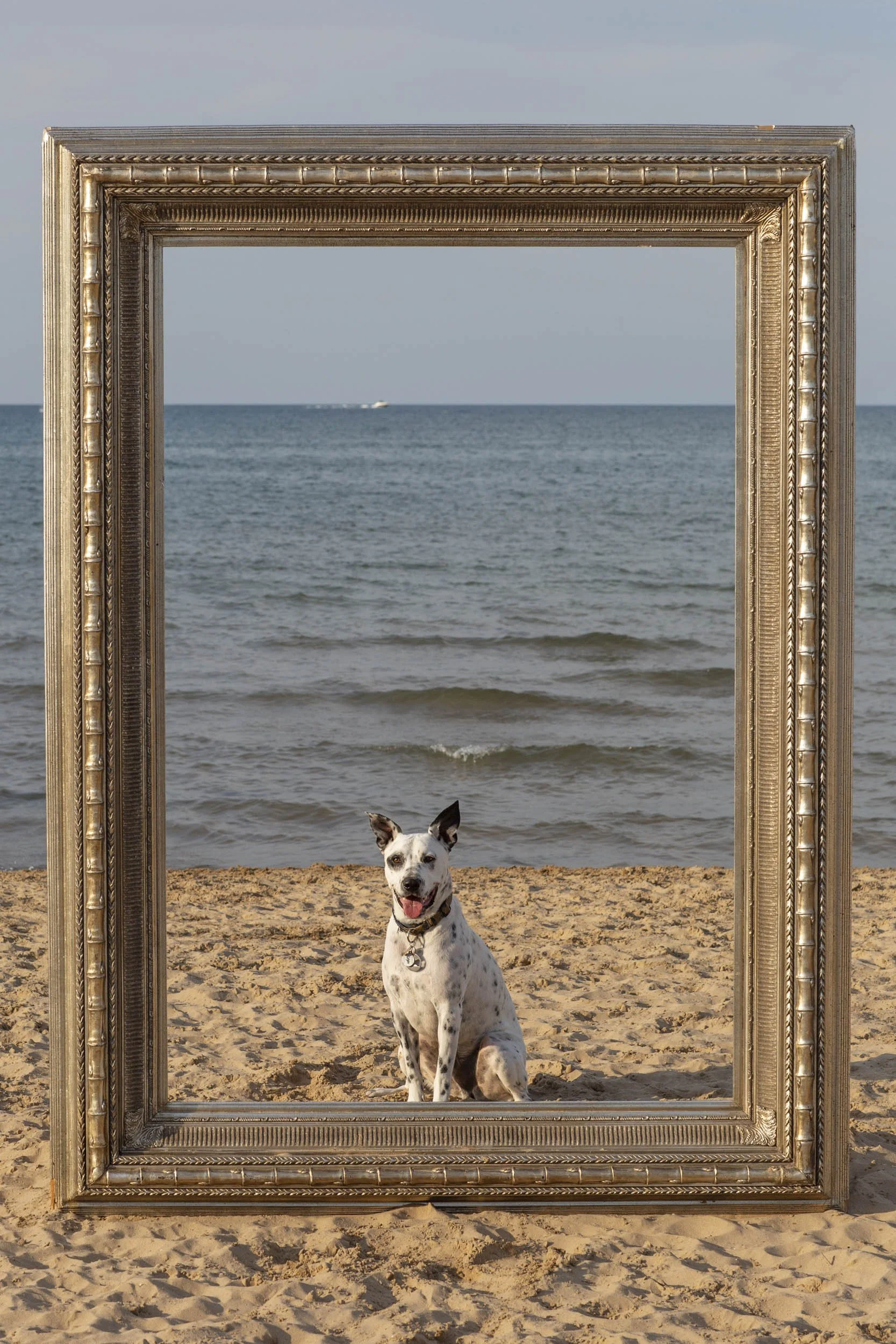 26_FramedinChicago_MontroseDogBeachForWebsite-41.jpg