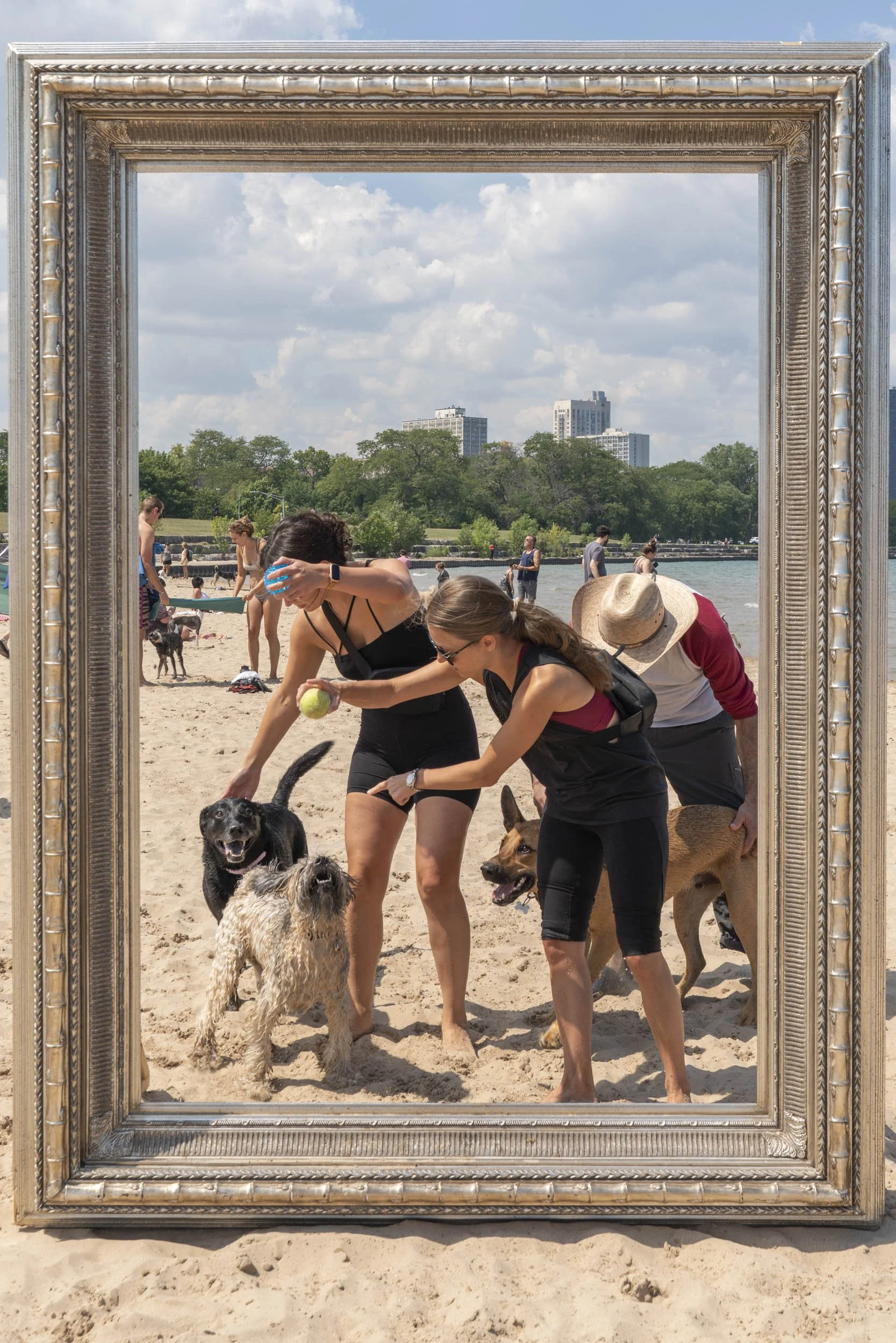 26_FramedinChicago_MontroseDogBeachForWebsite-12.jpg