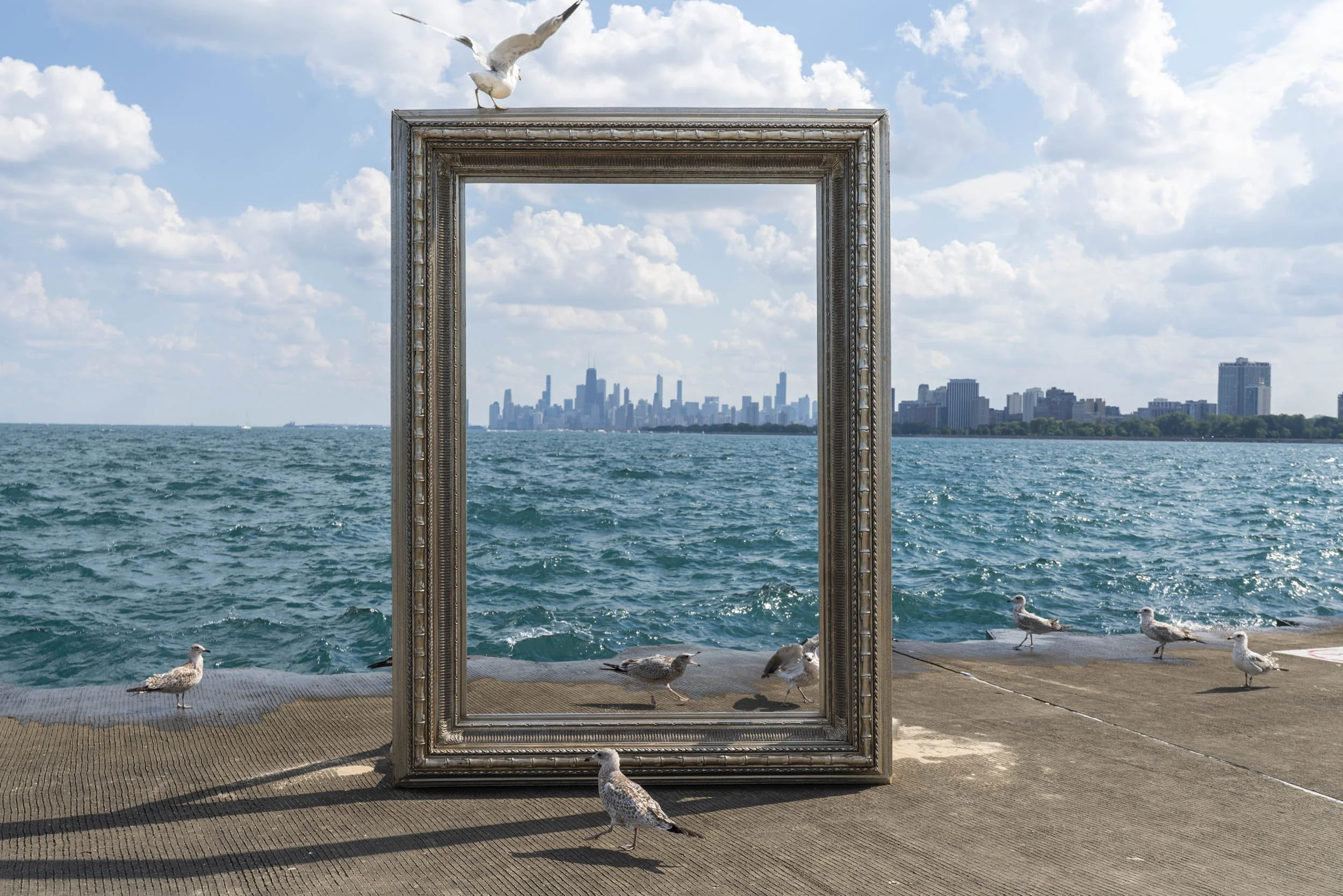 26_FramedinChicago_MontroseHarborEditForWebsite-26.jpg
