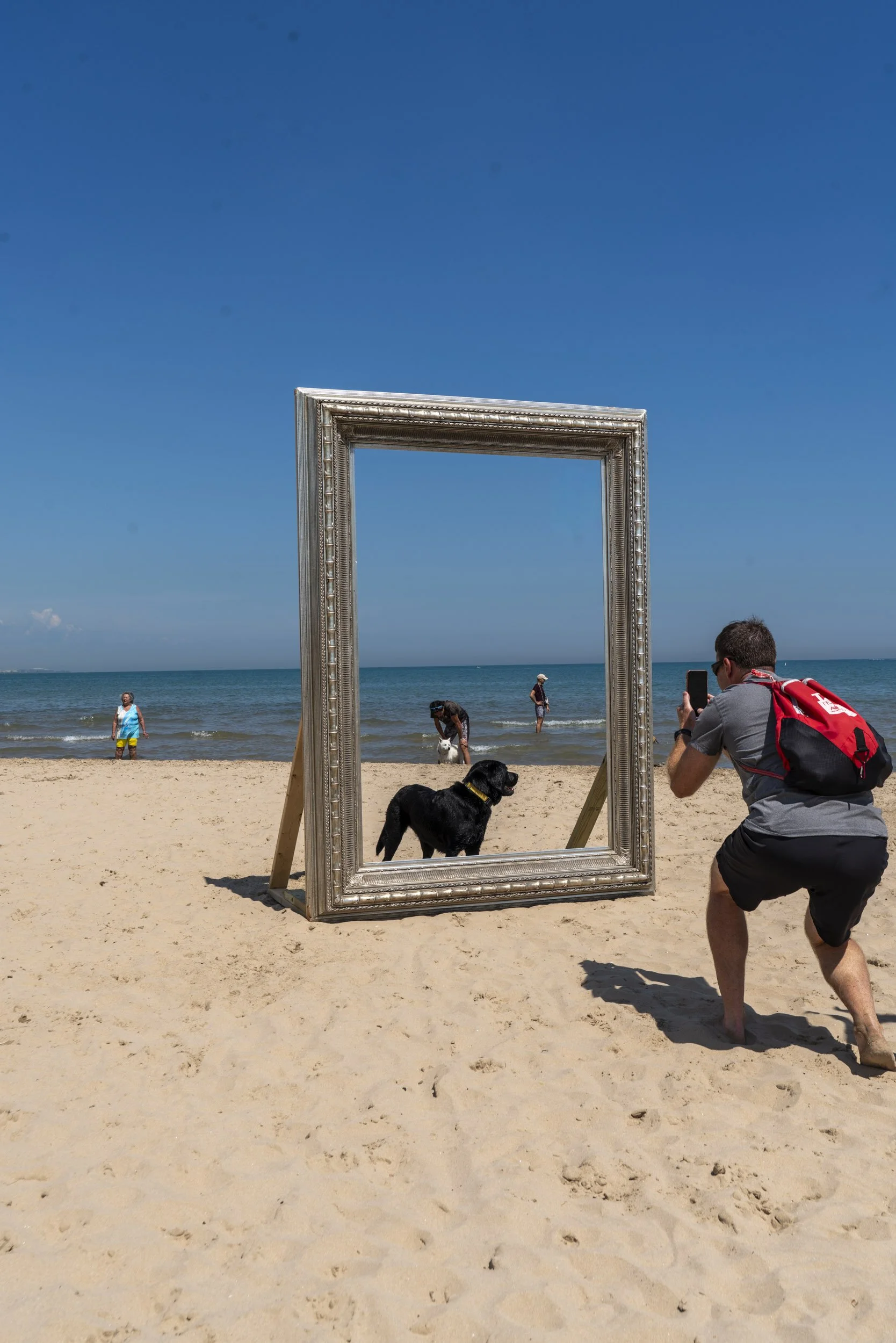 26_FramedinChicago_MontroseDogBeachForWebsite.jpg