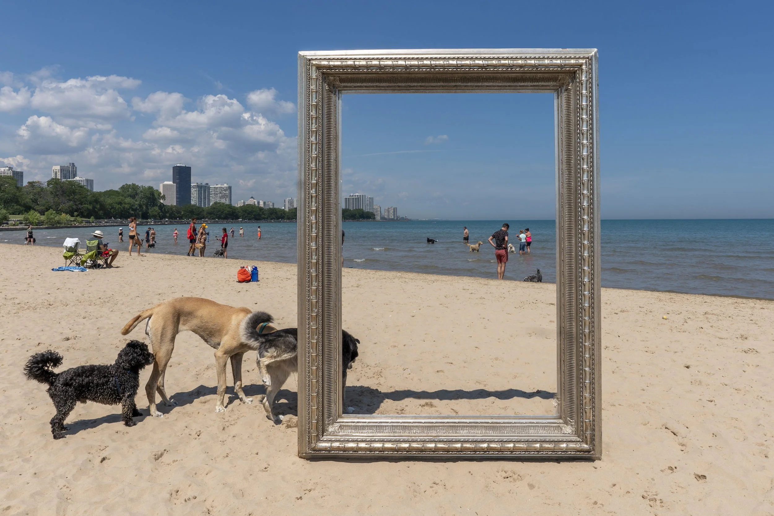 26_FramedinChicago_MontroseDogBeachForWebsite-5.jpg