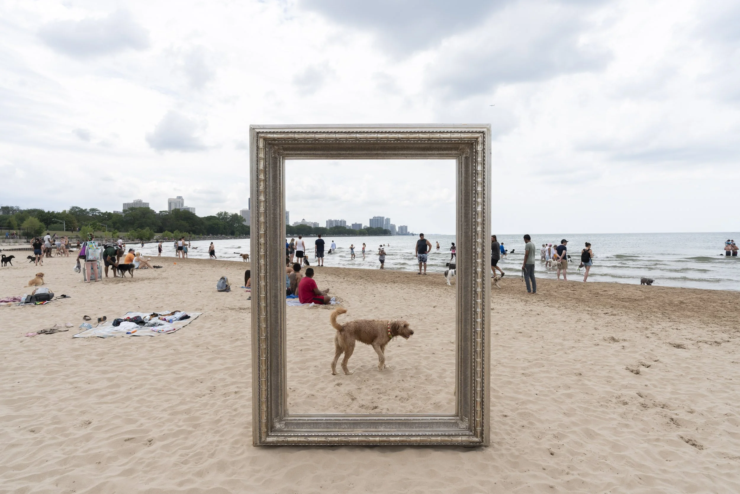 26_FramedinChicago_MontroseDogBeach2ForWebsite-15.jpg