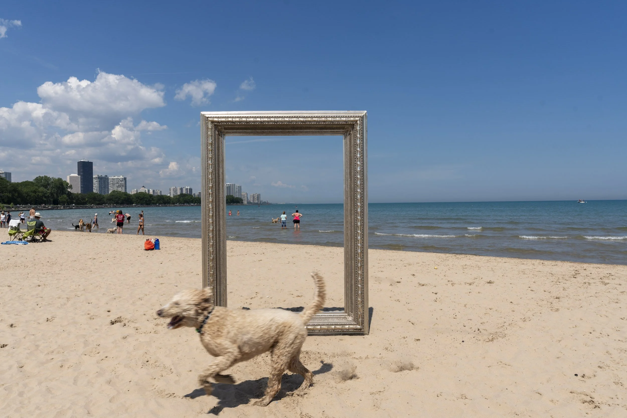 26_FramedinChicago_MontroseDogBeachForWebsite-7.jpg